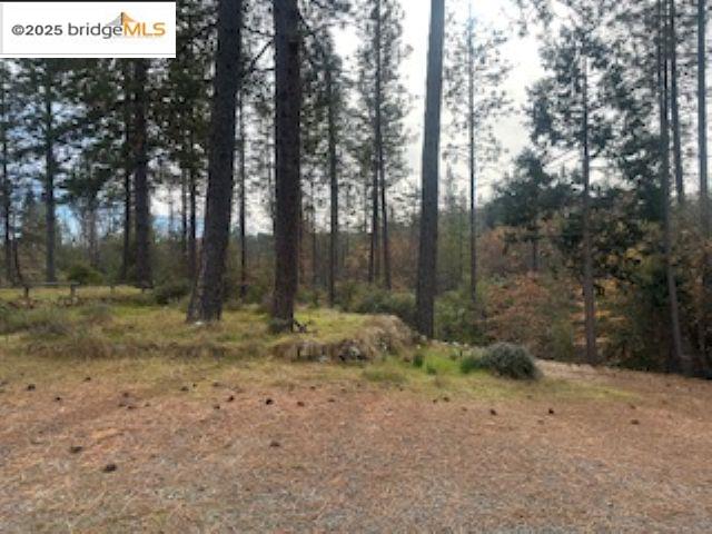 Detail Gallery Image 9 of 10 For 6294 Dogtown Rd, Coulterville,  CA 95311 - 3 Beds | 2 Baths