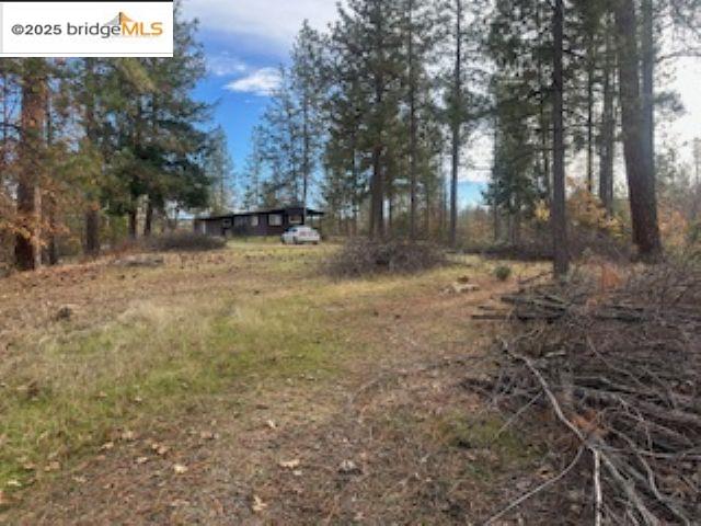 Detail Gallery Image 10 of 10 For 6294 Dogtown Rd, Coulterville,  CA 95311 - 3 Beds | 2 Baths