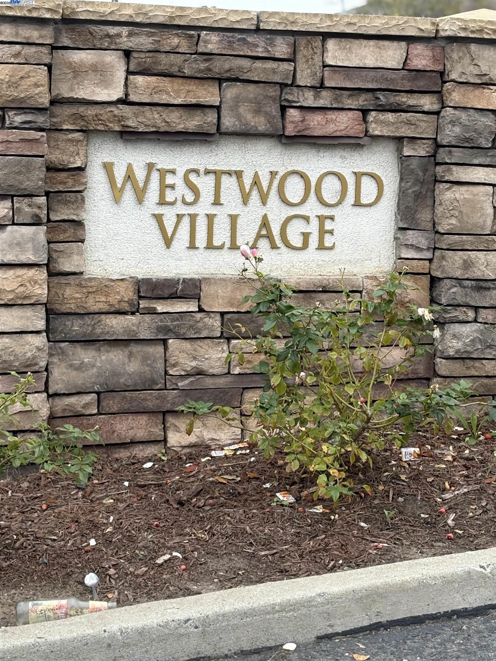 Front Image Thumbnail for BE41119421