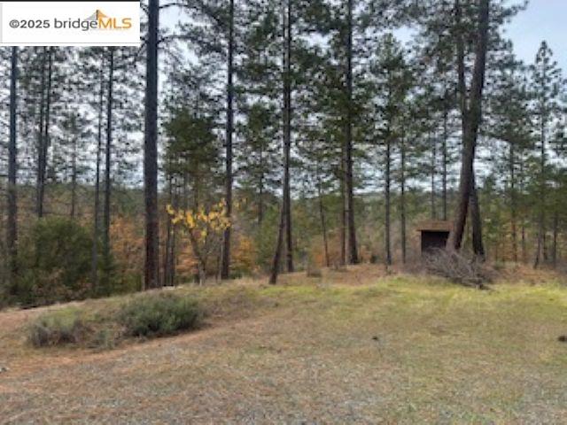 Detail Gallery Image 14 of 14 For 6294 Dogtown Rd, Coulterville,  CA 95311 - 3 Beds | 2 Baths