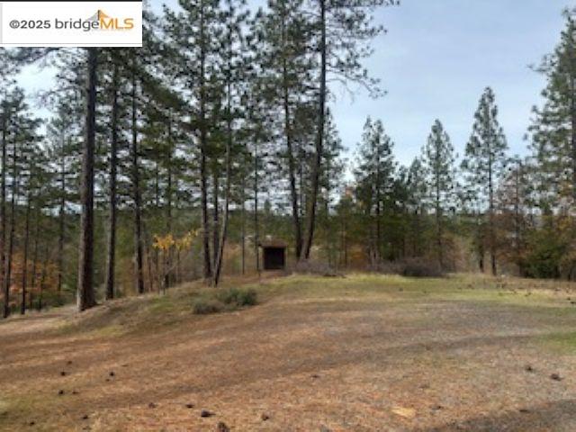 Detail Gallery Image 16 of 25 For 6294 Dogtown Rd, Coulterville,  CA 95311 - 3 Beds | 2 Baths