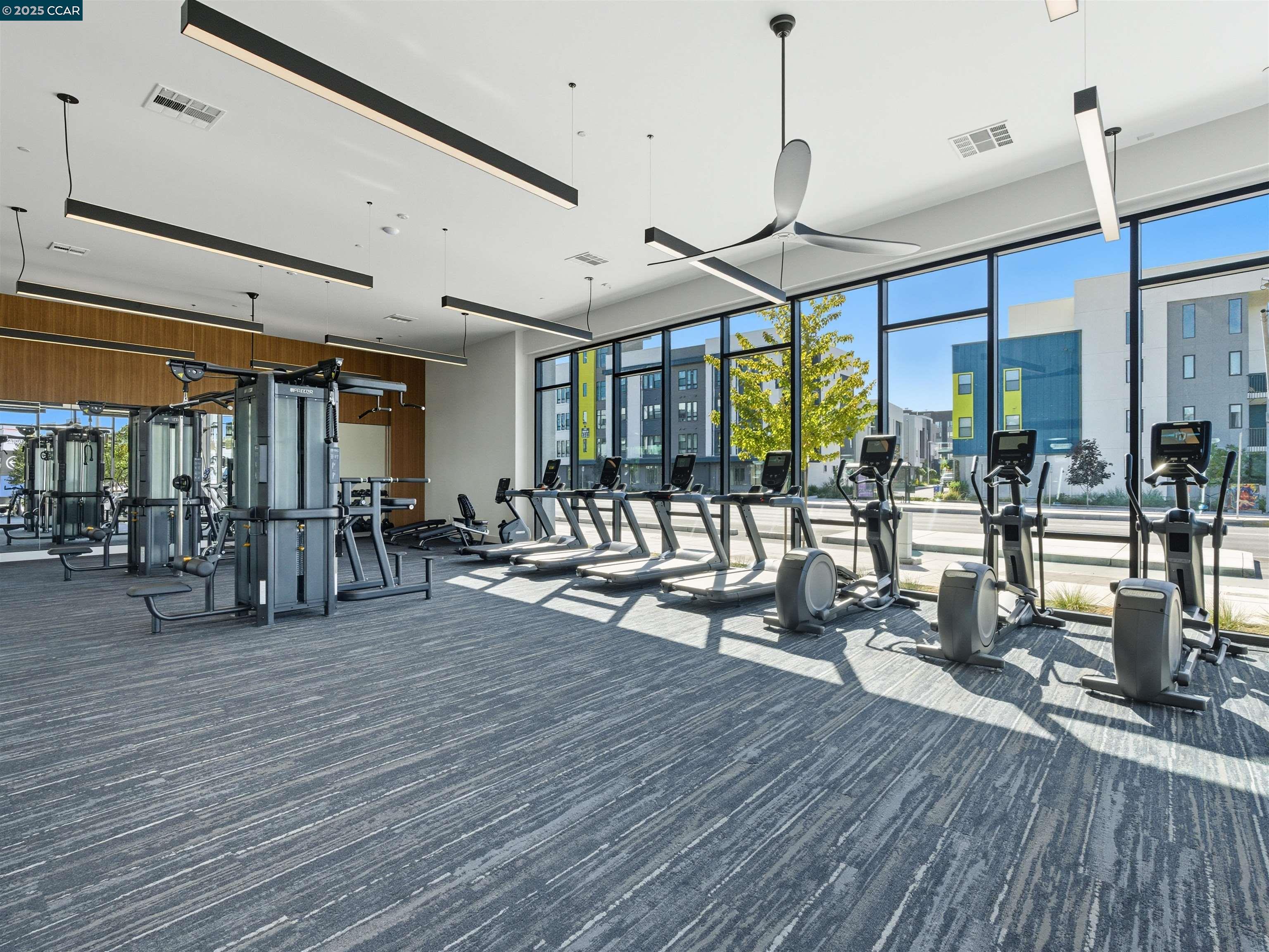 Detail Gallery Image 44 of 49 For 44862 S Grimmer Blvd #201,  Fremont,  CA 94538 - 3 Beds | 2 Baths