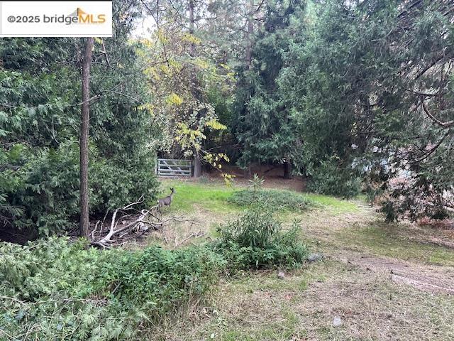 Detail Gallery Image 12 of 13 For 16483 Creekside, Sonora,  CA 95370 - 3 Beds | 2 Baths