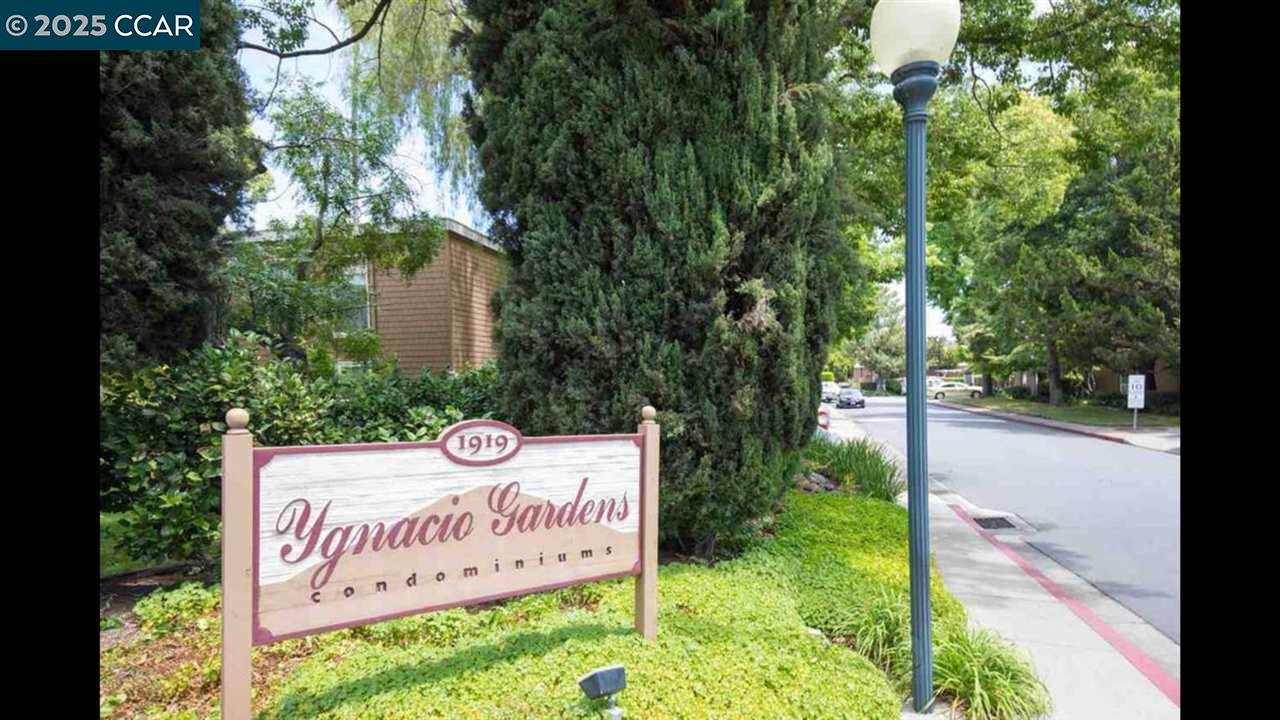 Front Image Thumbnail for CC41119521