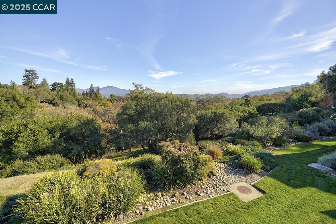 Photo #33: 41119541 Listing: Photo #33