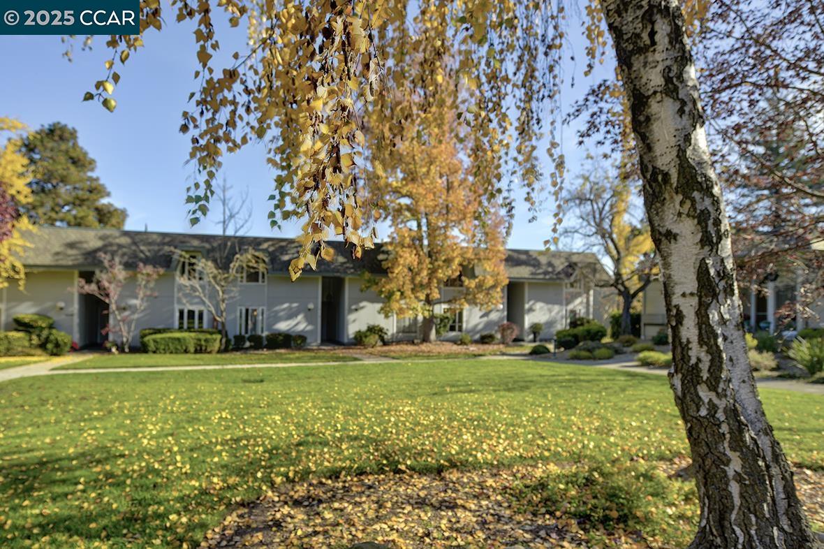 Photo #51: 41119541 Listing: Photo #51