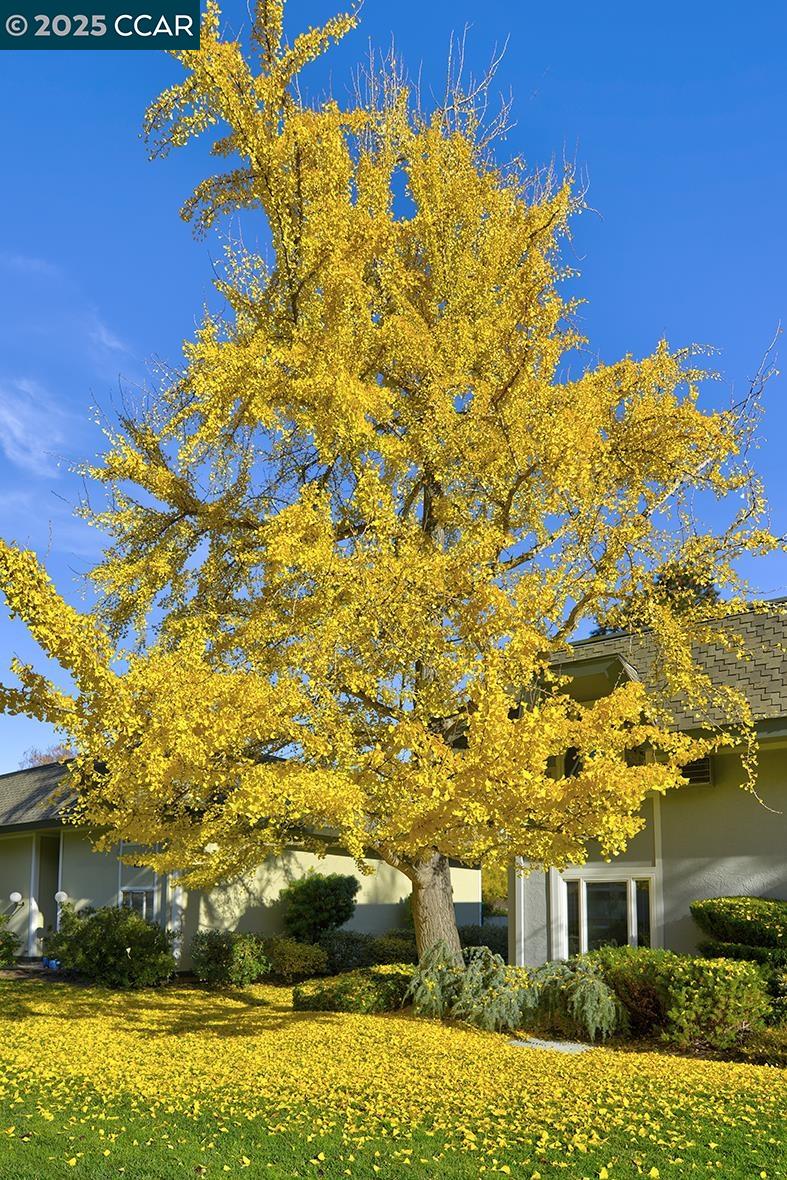 Photo #52: 41119541 Listing: Photo #52