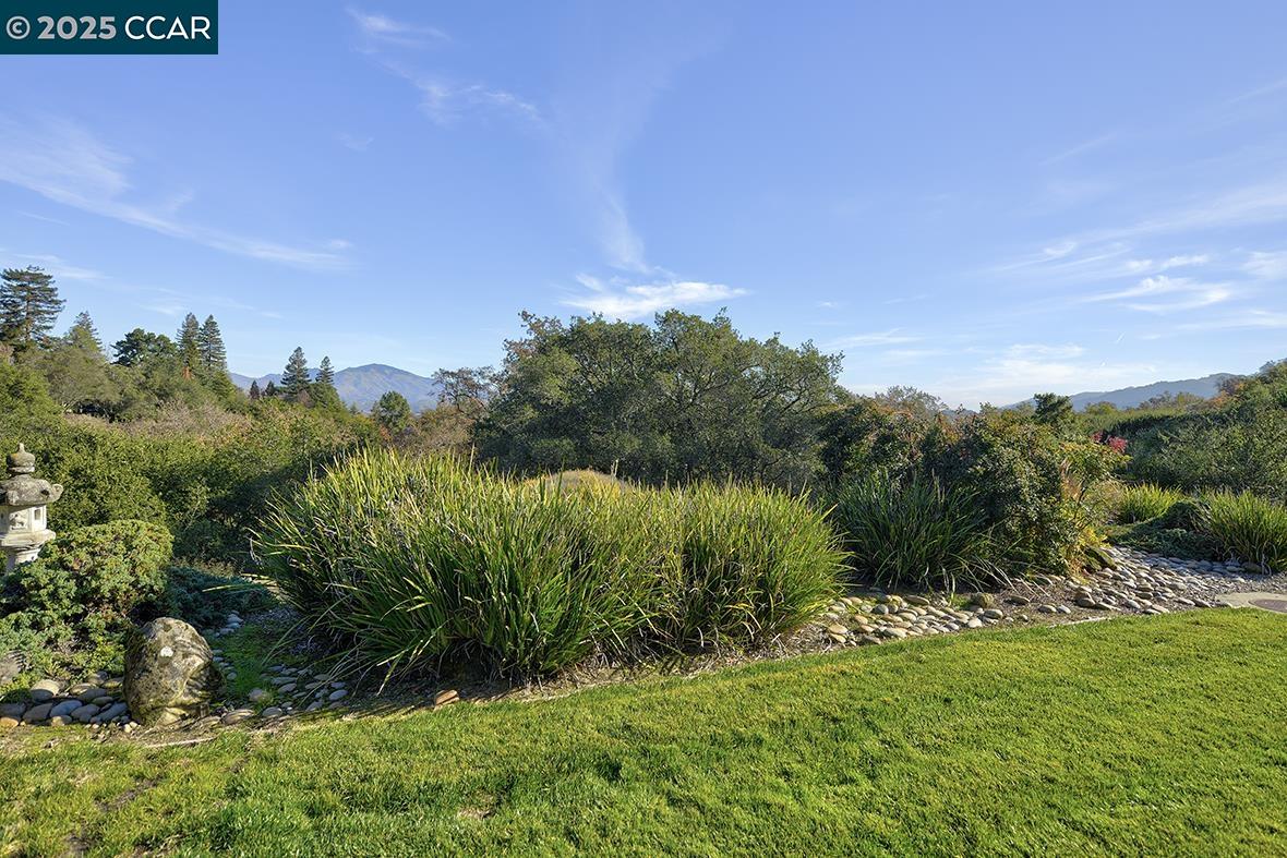 Photo #10: 41119541 Listing: Photo #10