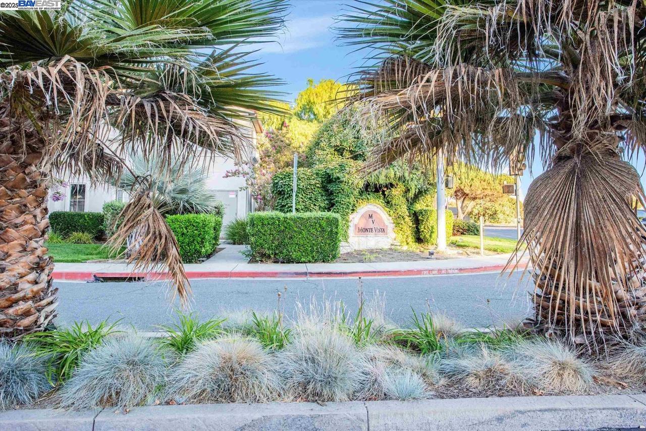 Photo #54: 41119547 Listing: Photo #54