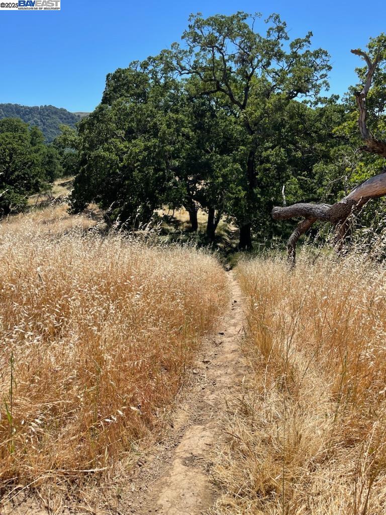 Detail Gallery Image 23 of 26 For 2989 Singalong Way, Sunol,  CA 94586 - 2 Beds | 2 Baths