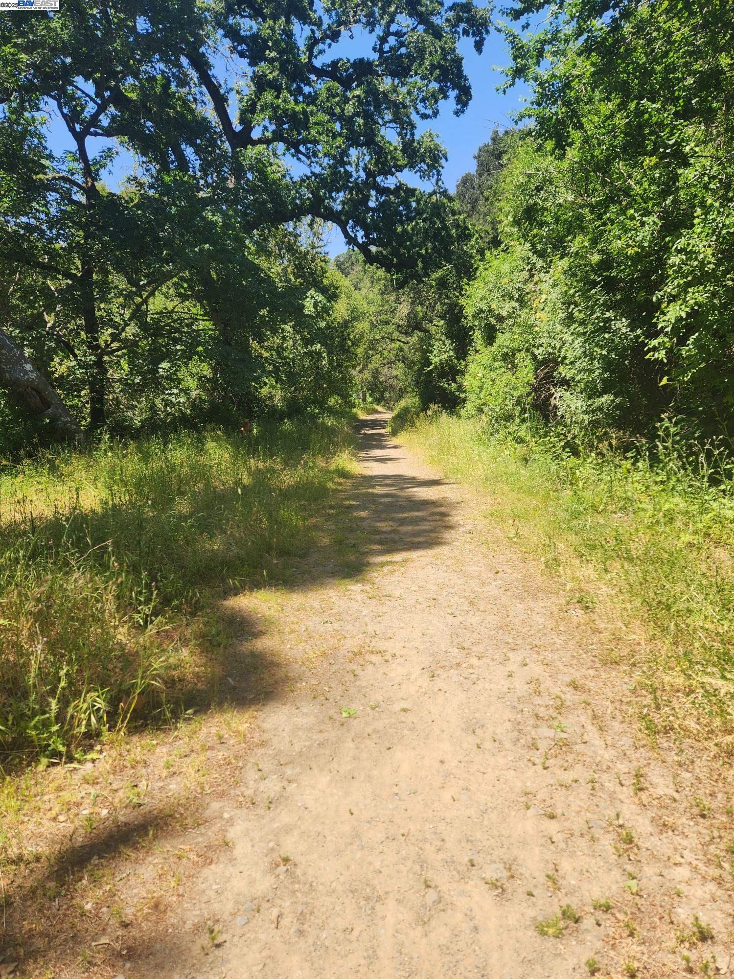 Detail Gallery Image 5 of 26 For 2989 Singalong Way, Sunol,  CA 94586 - 2 Beds | 2 Baths