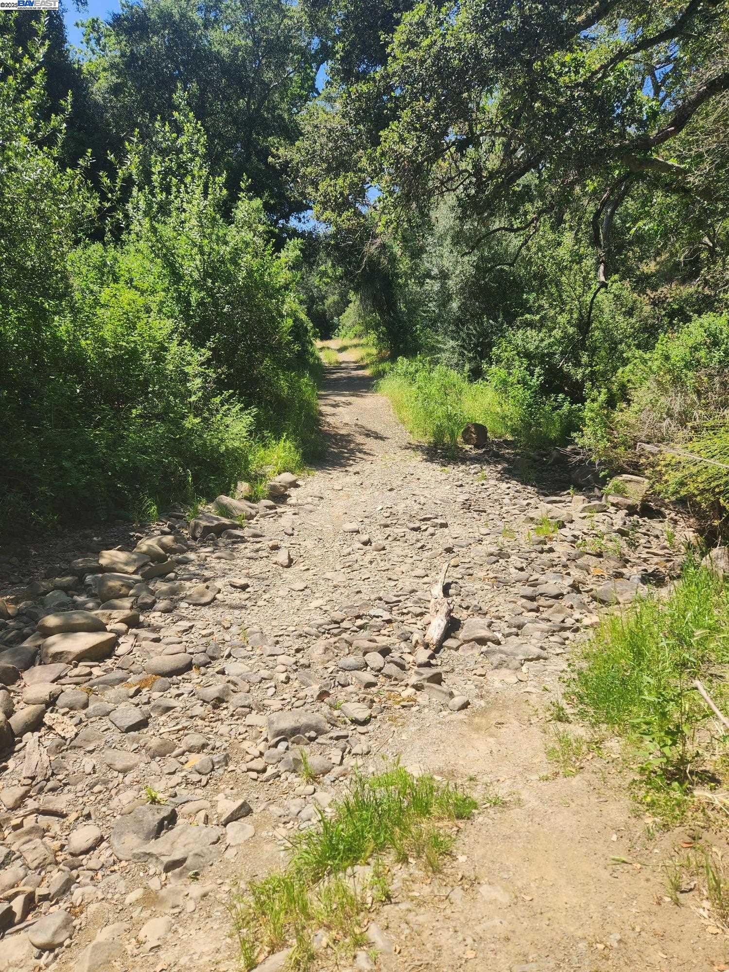 Detail Gallery Image 6 of 26 For 2989 Singalong Way, Sunol,  CA 94586 - 2 Beds | 2 Baths