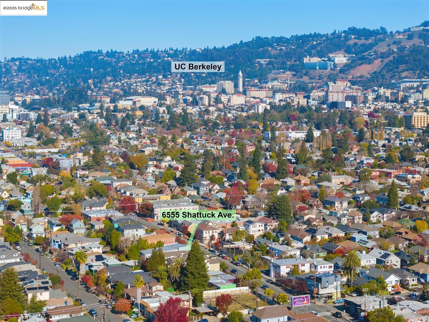 Photo #39: 41119573 Listing: Photo #39