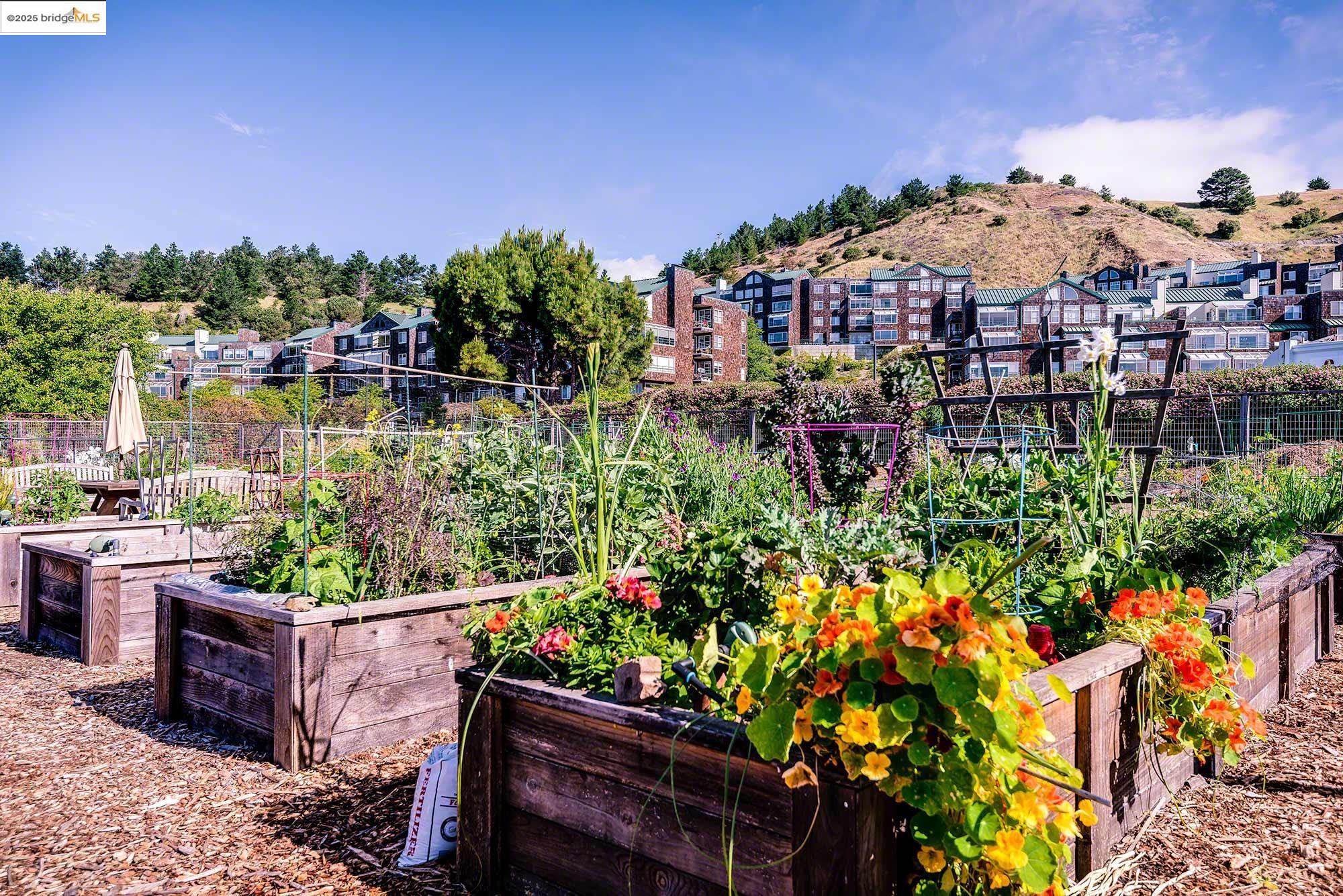 Detail Gallery Image 26 of 29 For 1300 Quarry Ct #303,  Richmond,  CA 94801 - 2 Beds | 2 Baths