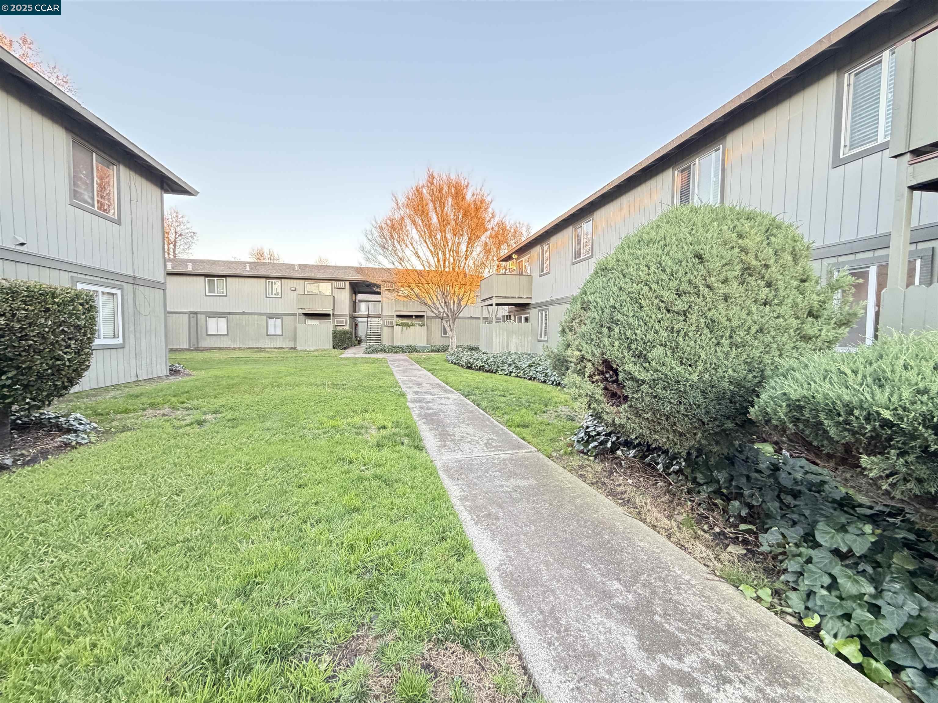 Detail Gallery Image 24 of 33 For 1133 Meadow Ln #53,  Concord,  CA 94520 - 1 Beds | 1 Baths