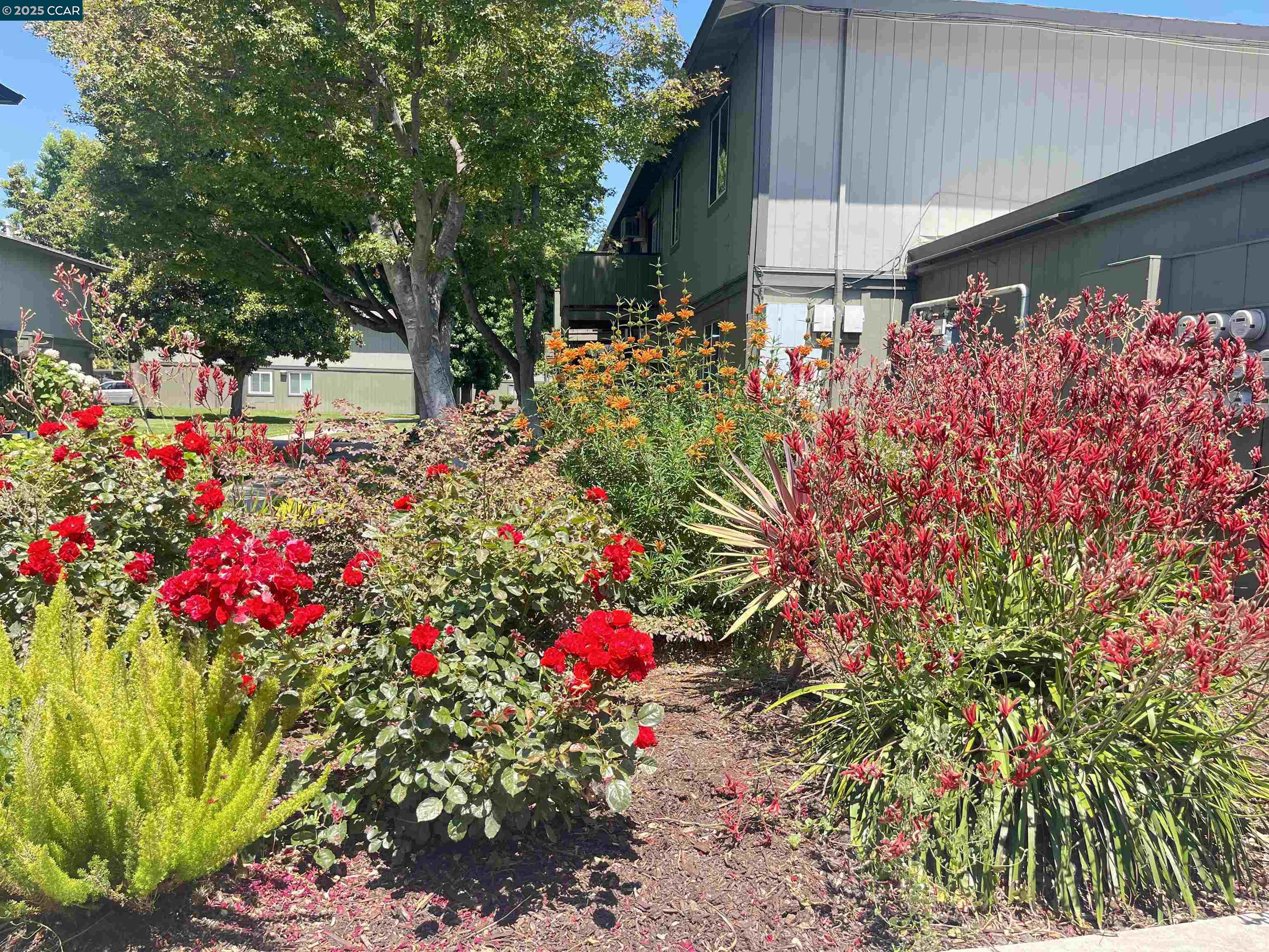 Detail Gallery Image 33 of 33 For 1133 Meadow Ln #53,  Concord,  CA 94520 - 1 Beds | 1 Baths