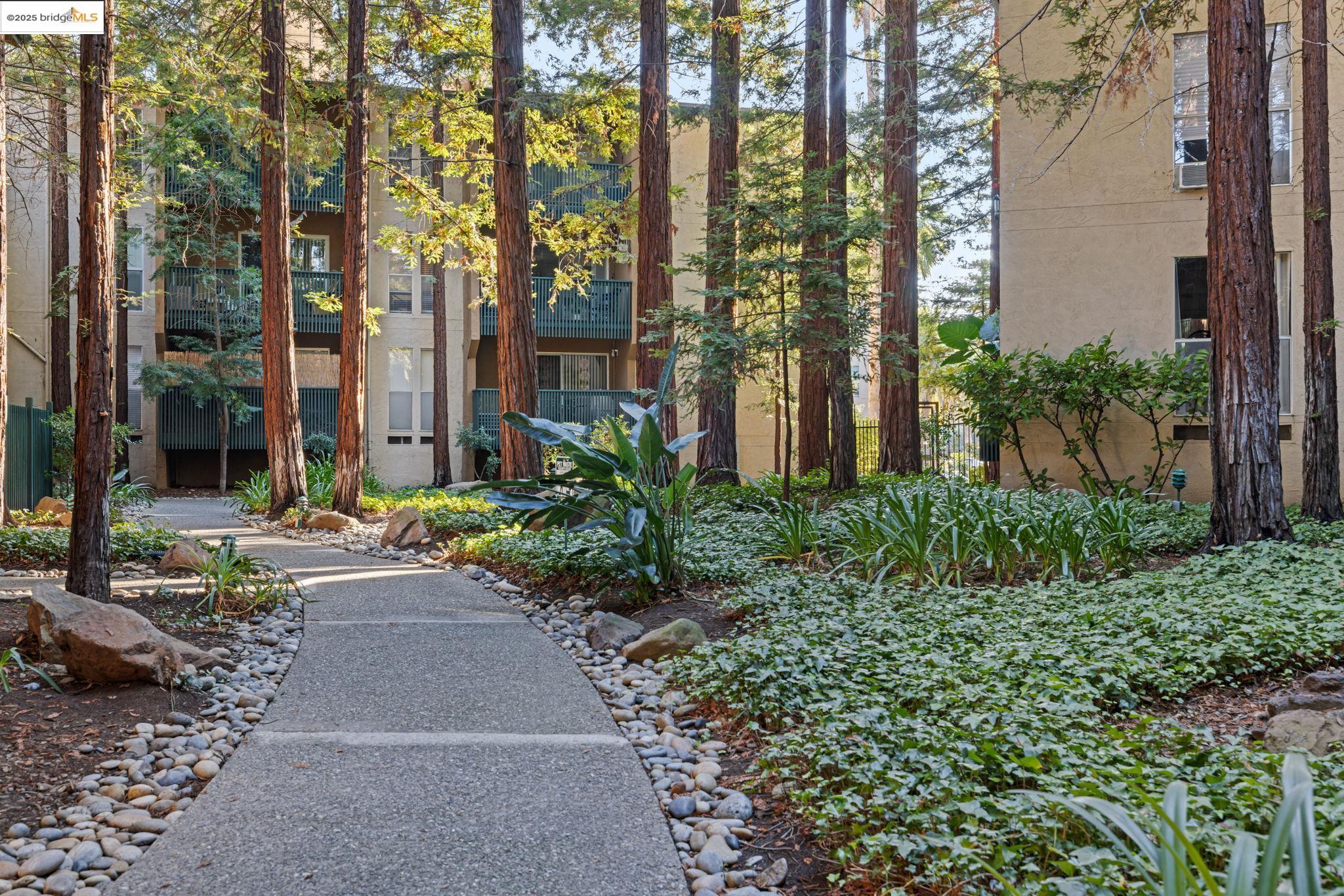 Photo #19: 41119649 Listing: Photo #19