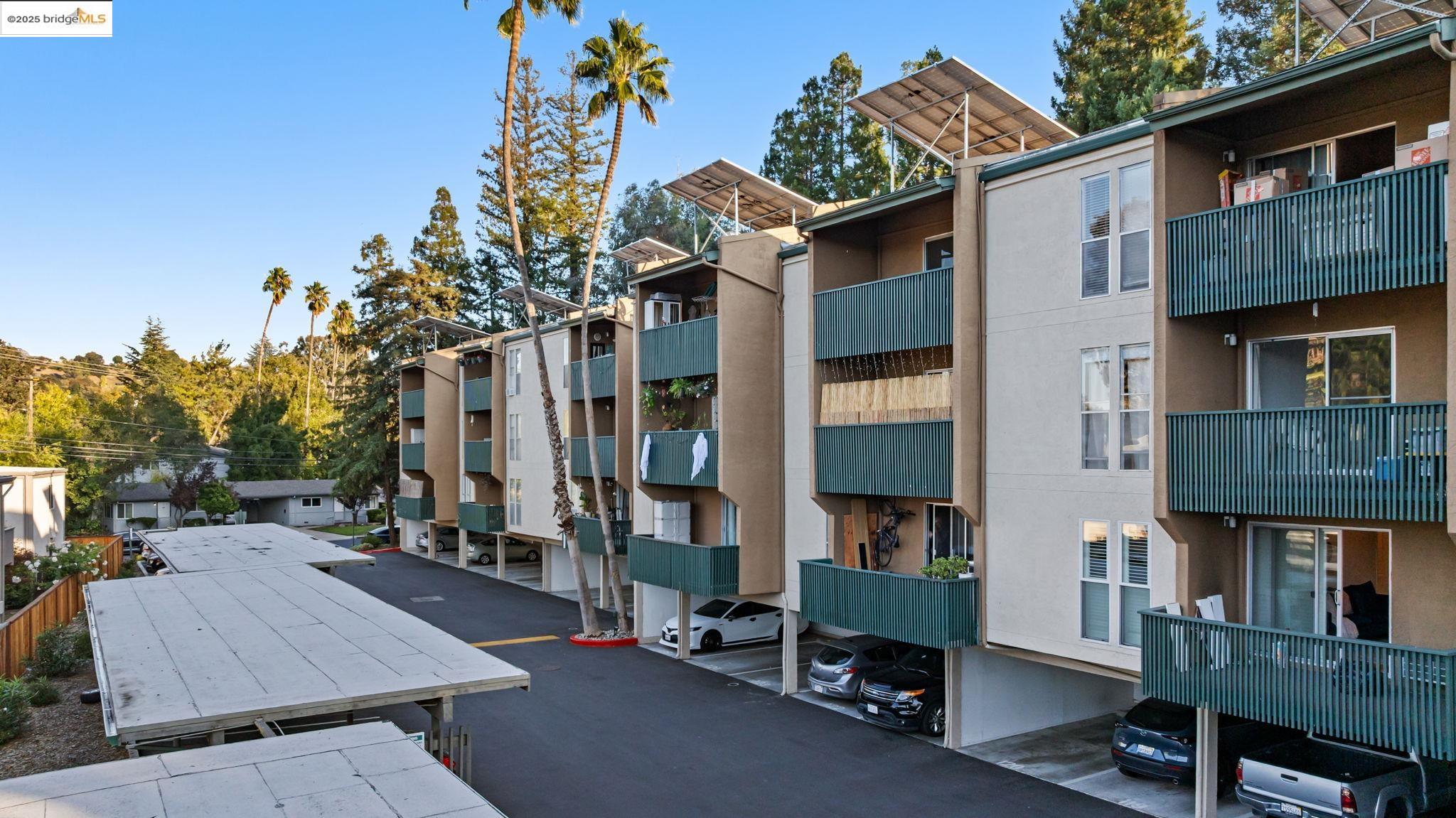 Photo #4: 41119649 Listing: Photo #4