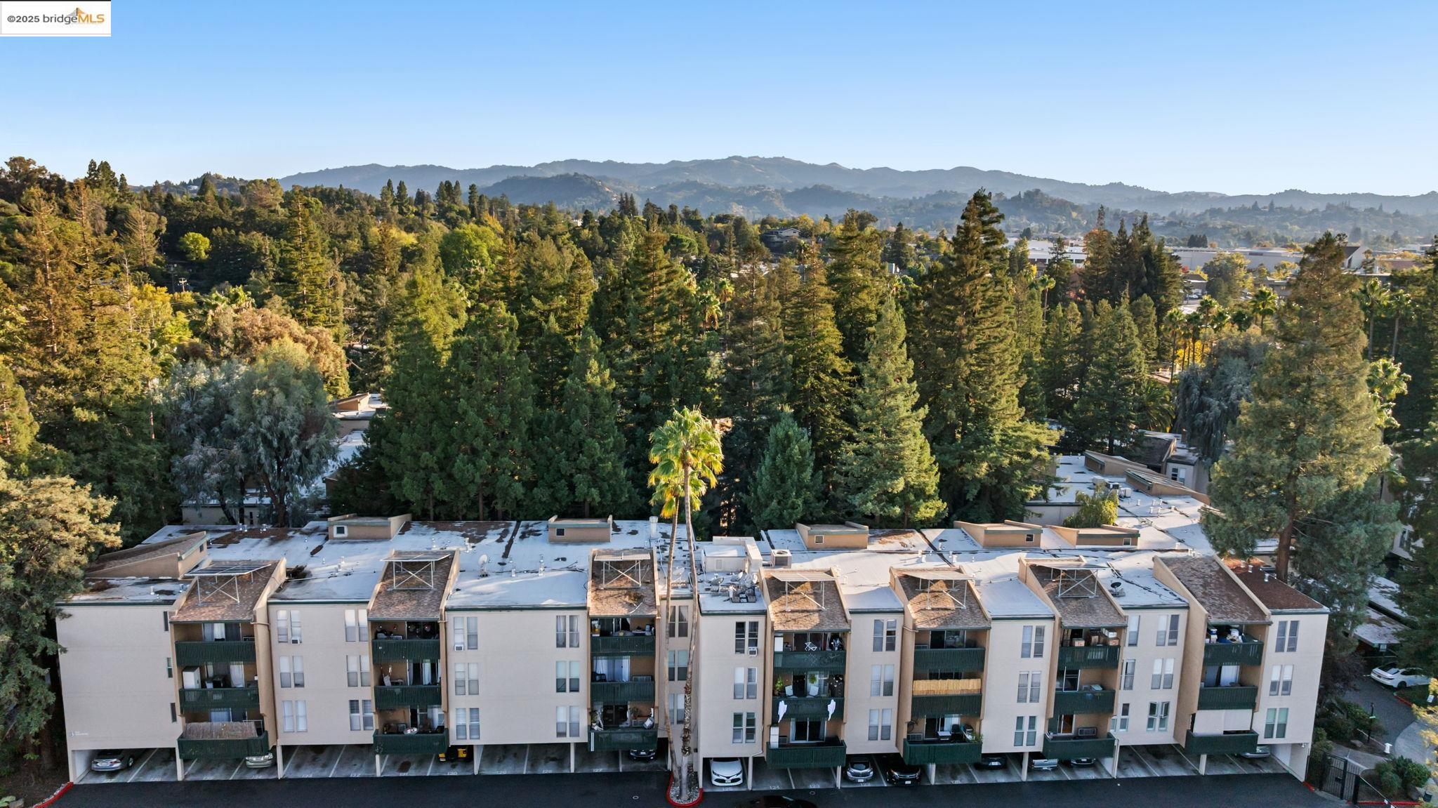 Photo #35: 41119649 Listing: Photo #35