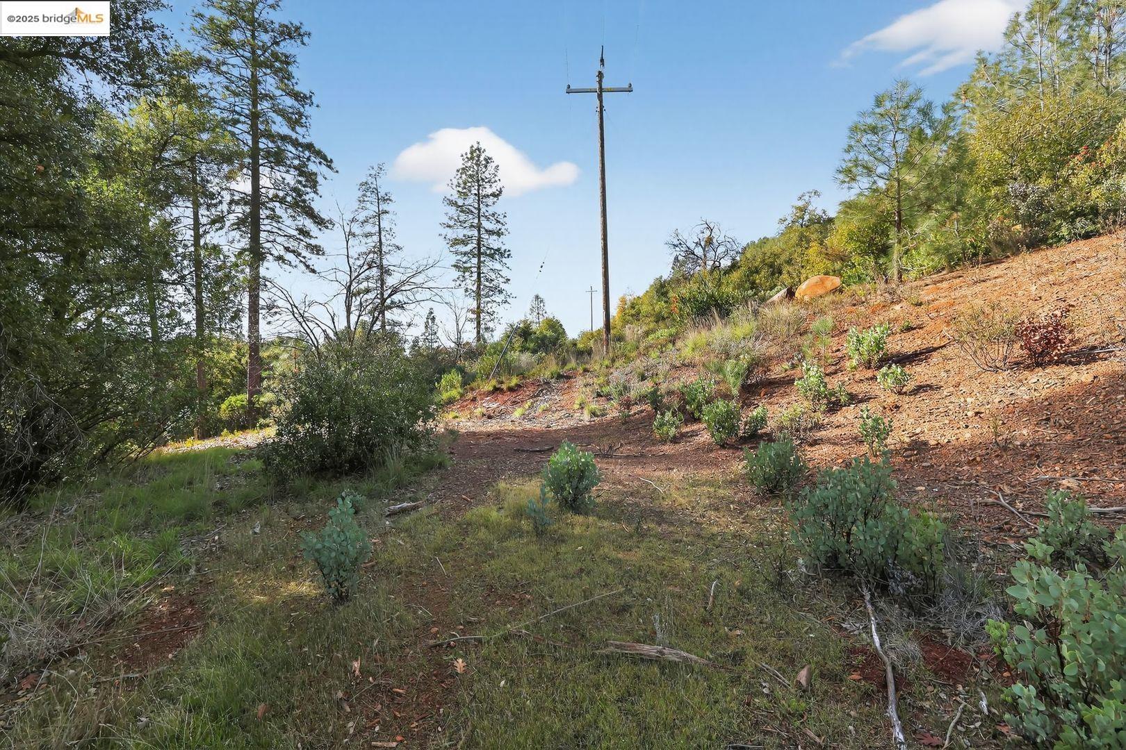 Detail Gallery Image 2 of 10 For 4544 Sheep Ranch Rd, Murphys,  CA 95247 - – Beds | – Baths