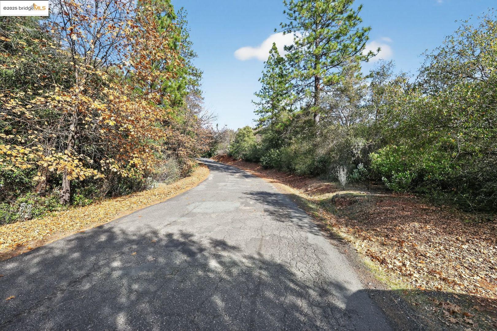 Detail Gallery Image 3 of 10 For 4544 Sheep Ranch Rd, Murphys,  CA 95247 - – Beds | – Baths