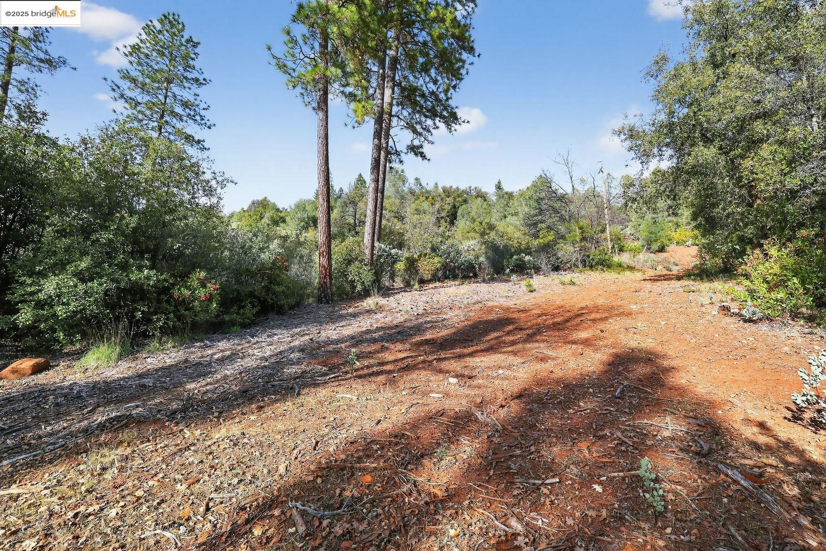 Detail Gallery Image 4 of 10 For 4544 Sheep Ranch Rd, Murphys,  CA 95247 - – Beds | – Baths