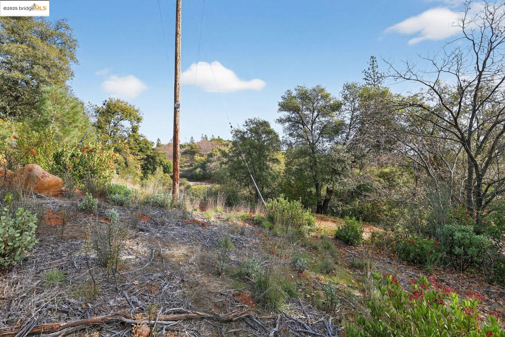 Detail Gallery Image 5 of 10 For 4544 Sheep Ranch Rd, Murphys,  CA 95247 - – Beds | – Baths