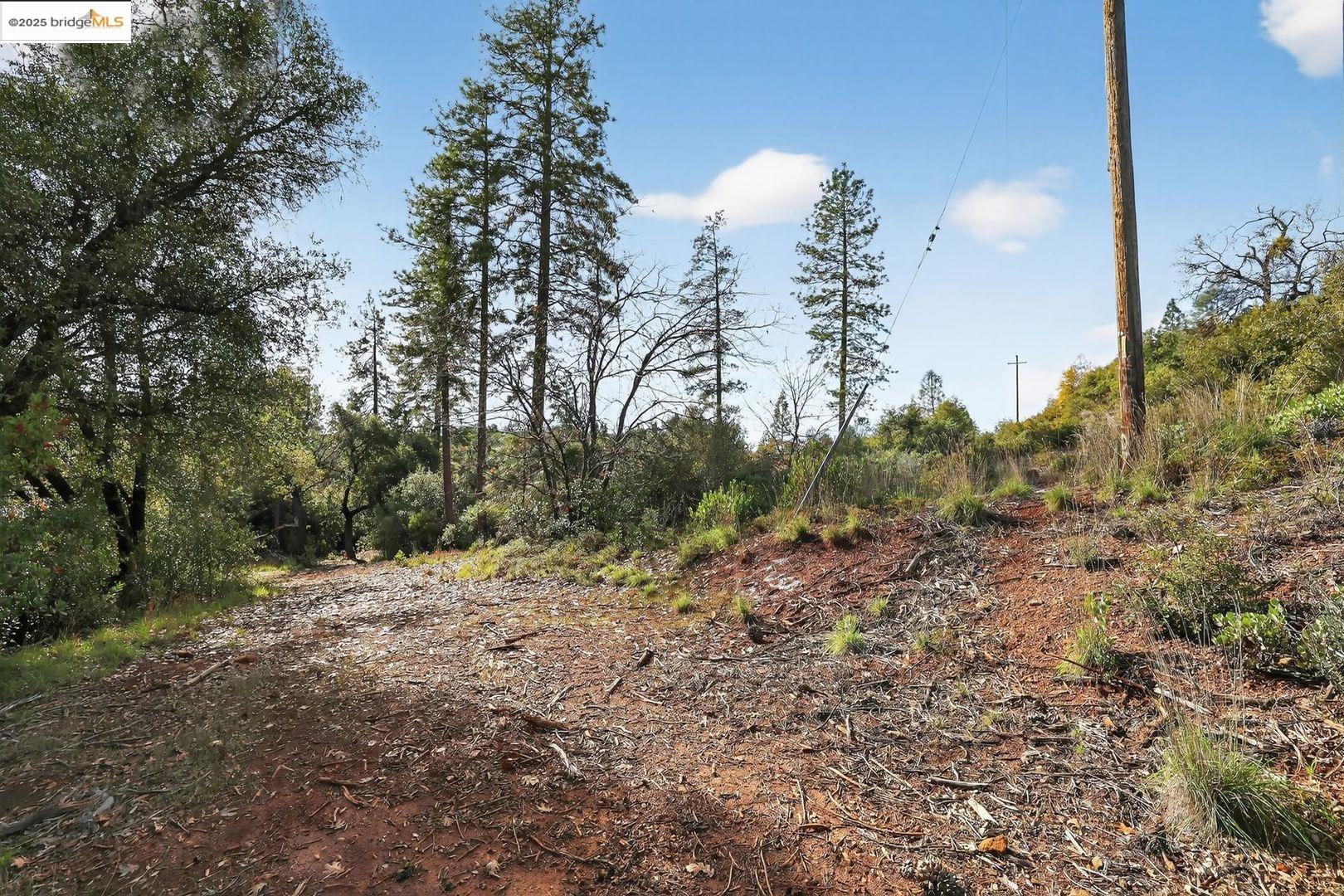 Detail Gallery Image 7 of 10 For 4544 Sheep Ranch Rd, Murphys,  CA 95247 - – Beds | – Baths