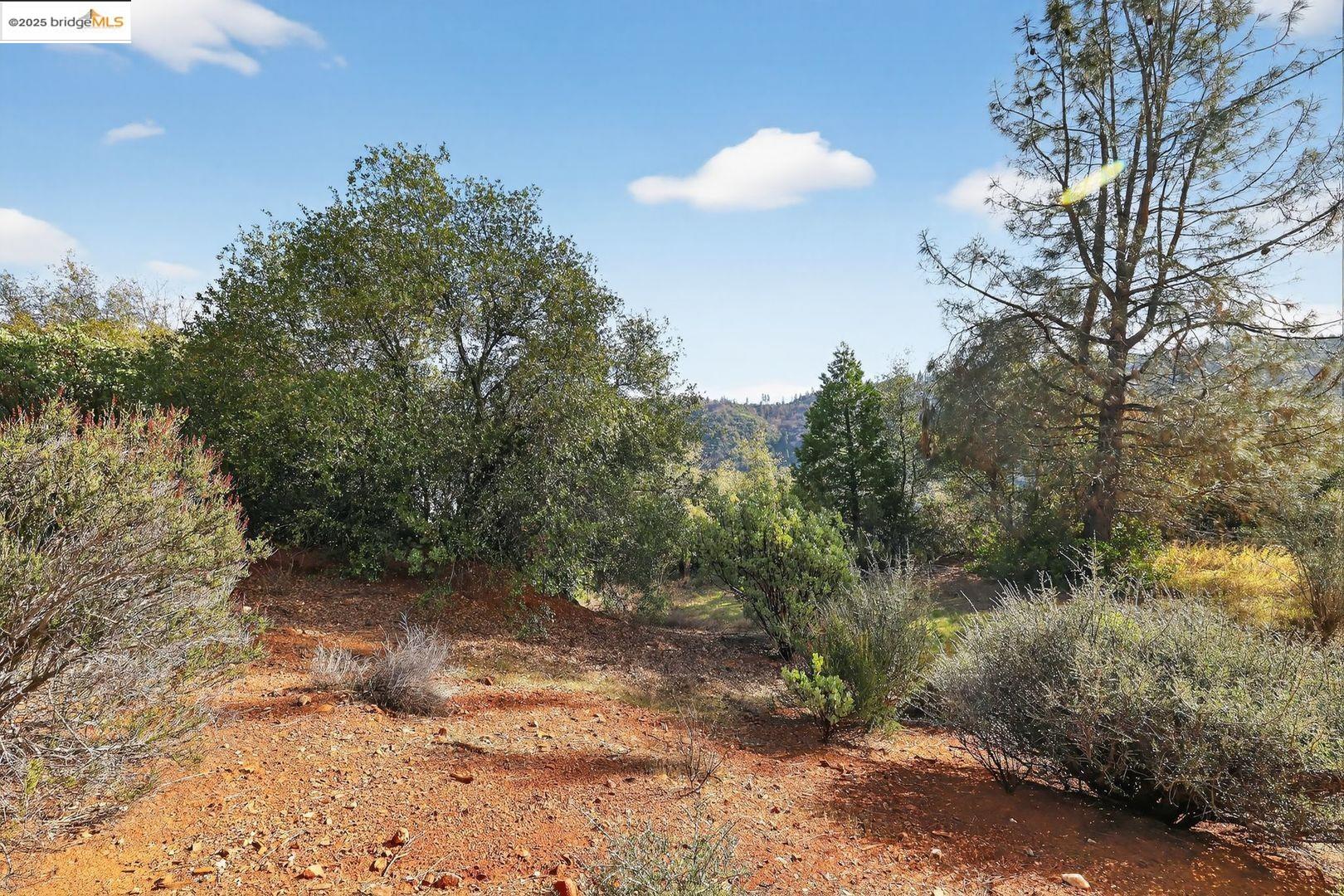 Detail Gallery Image 10 of 10 For 4544 Sheep Ranch Rd, Murphys,  CA 95247 - – Beds | – Baths