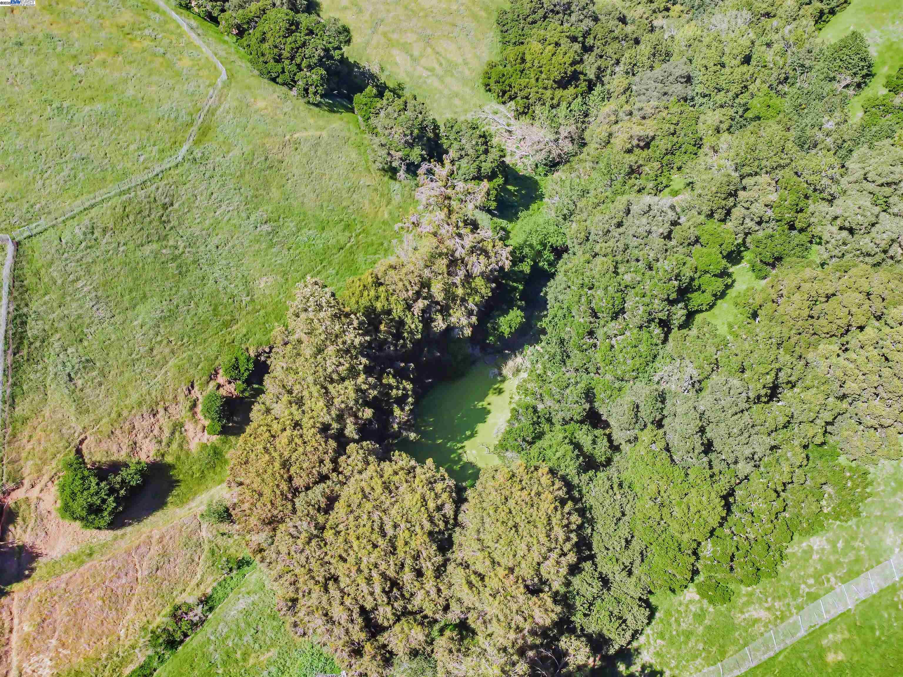 Detail Gallery Image 55 of 60 For 41794 Vargas Rd, Fremont,  CA 94539 - 5 Beds | 5/1 Baths