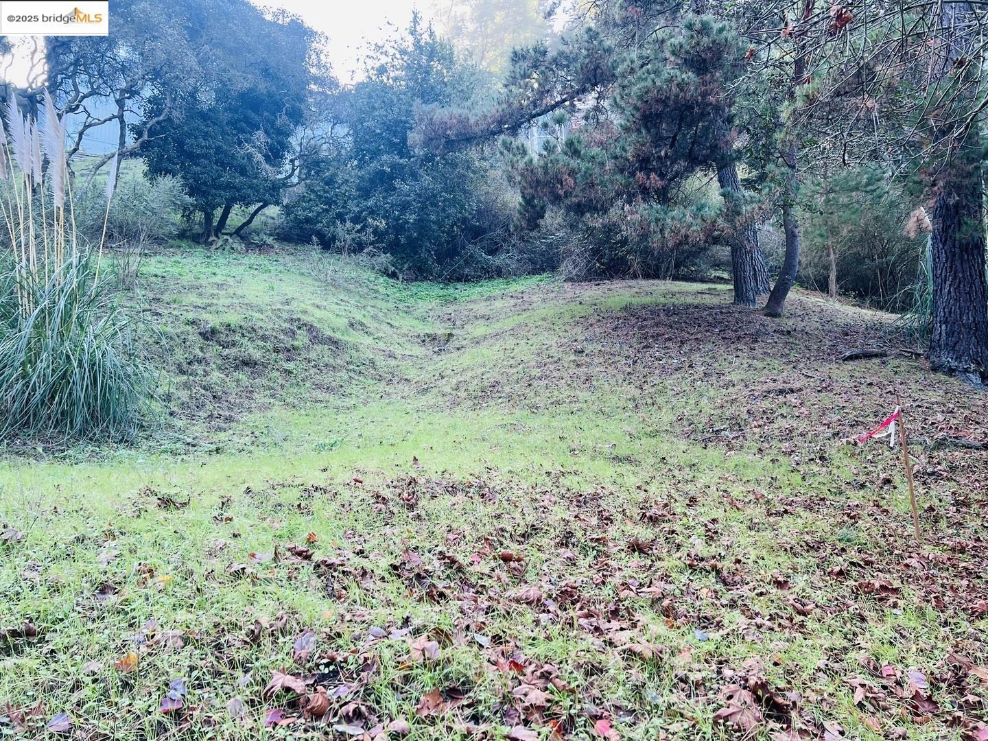 Detail Gallery Image 4 of 6 For 6636 Exeter Dr, Oakland,  CA 94611 - – Beds | – Baths