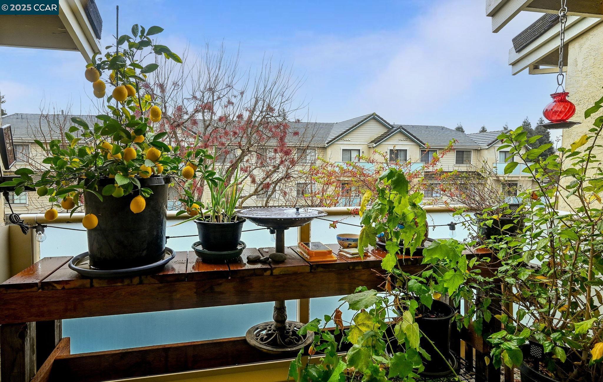 Photo #20: 41119696 Listing: Photo #20