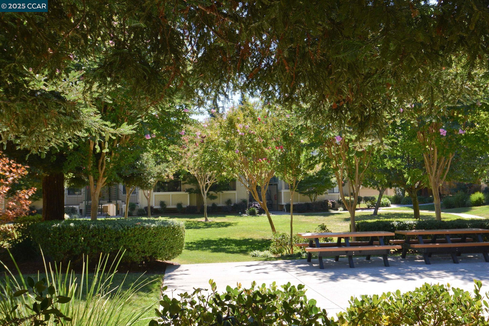 Photo #26: 41119696 Listing: Photo #26