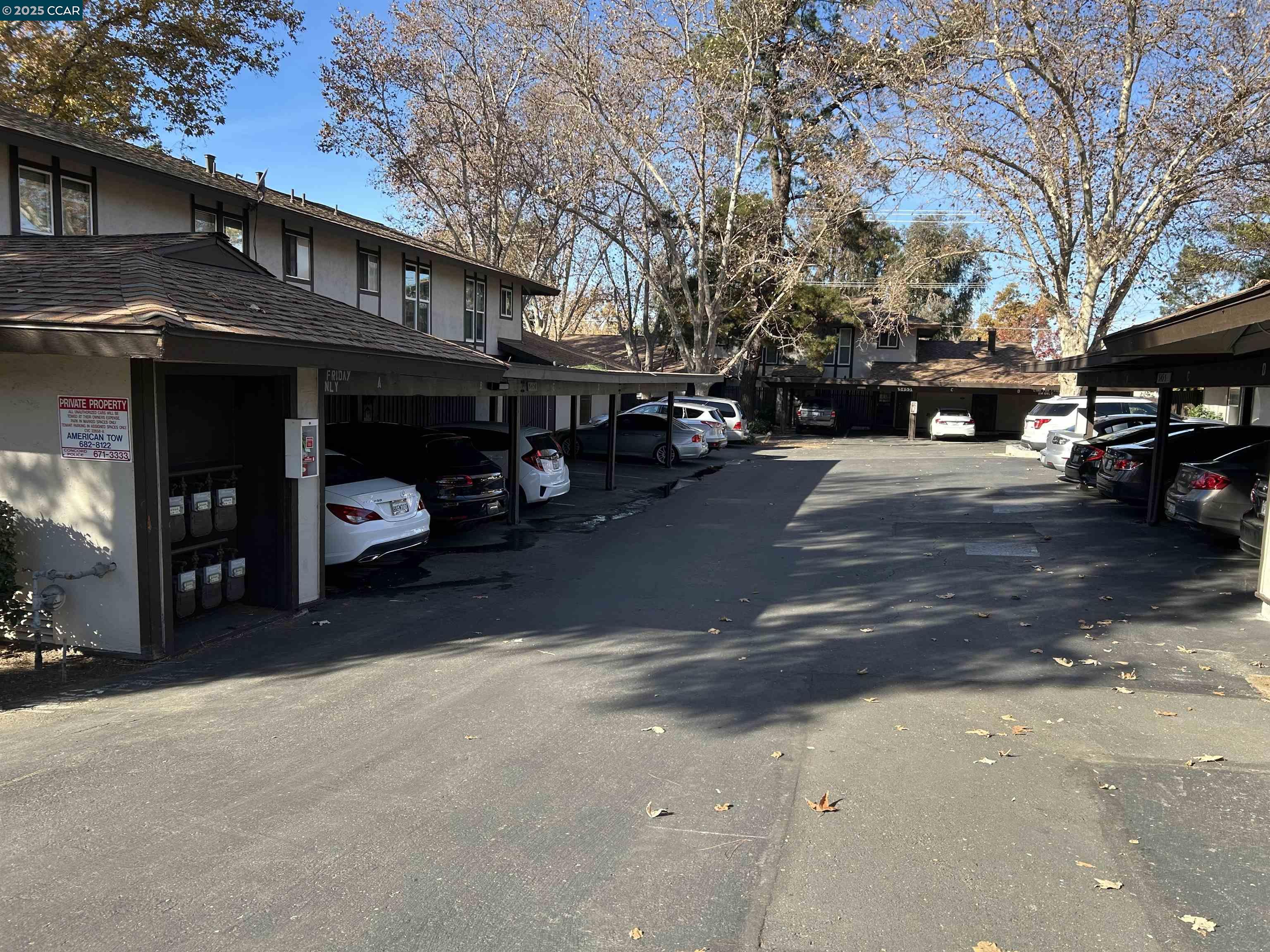 Photo #3: 41119705 Listing: Photo #3