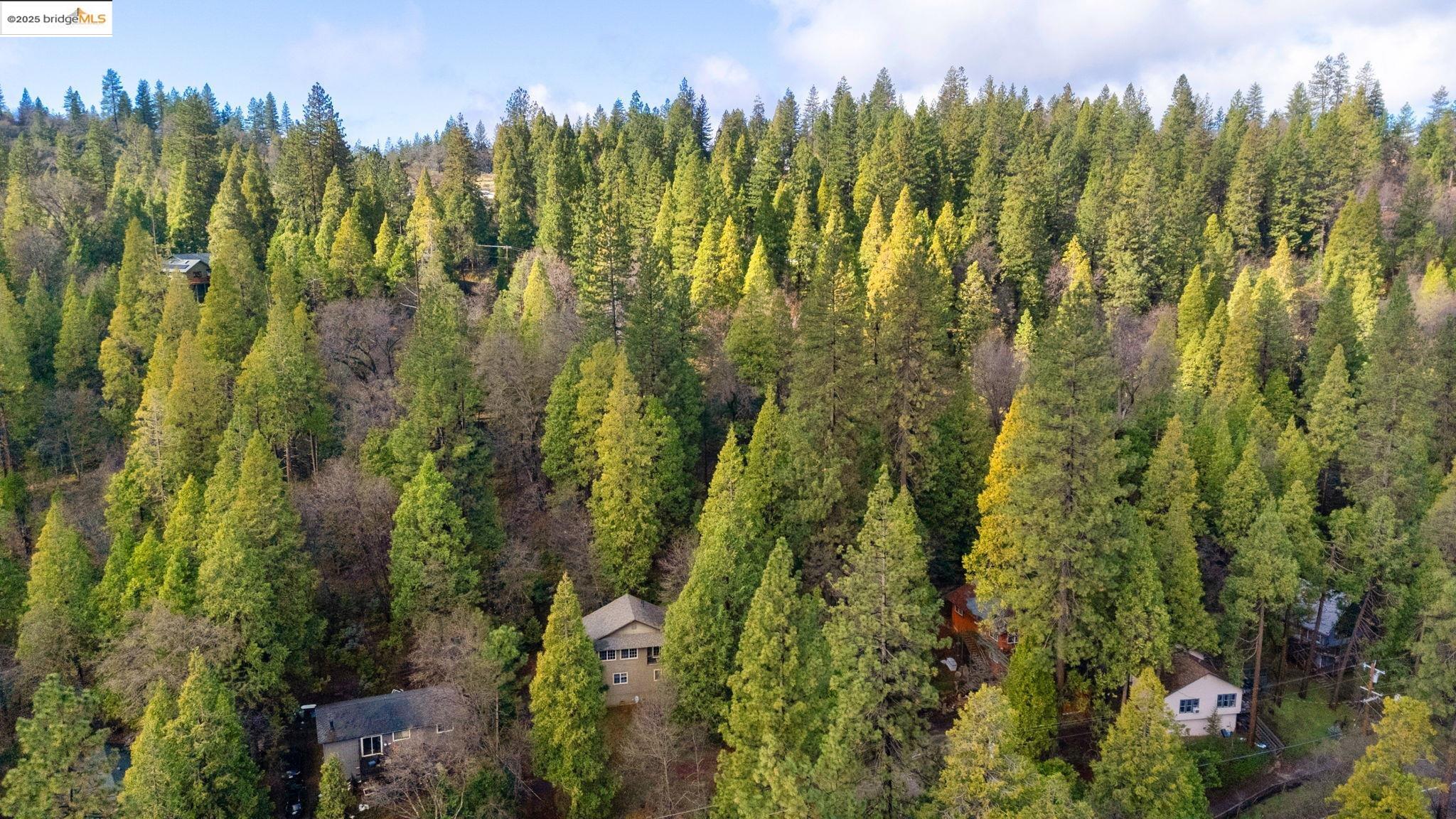 Detail Gallery Image 32 of 32 For 22464 N Tuolumne Rd, Twain Harte,  CA 95383 - 3 Beds | 2/1 Baths