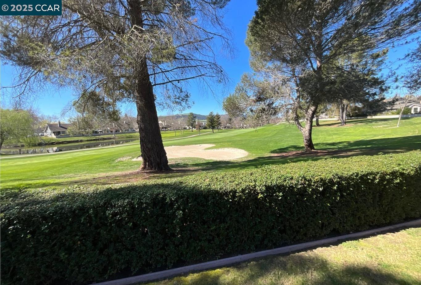 Front Image Thumbnail for CC41119720