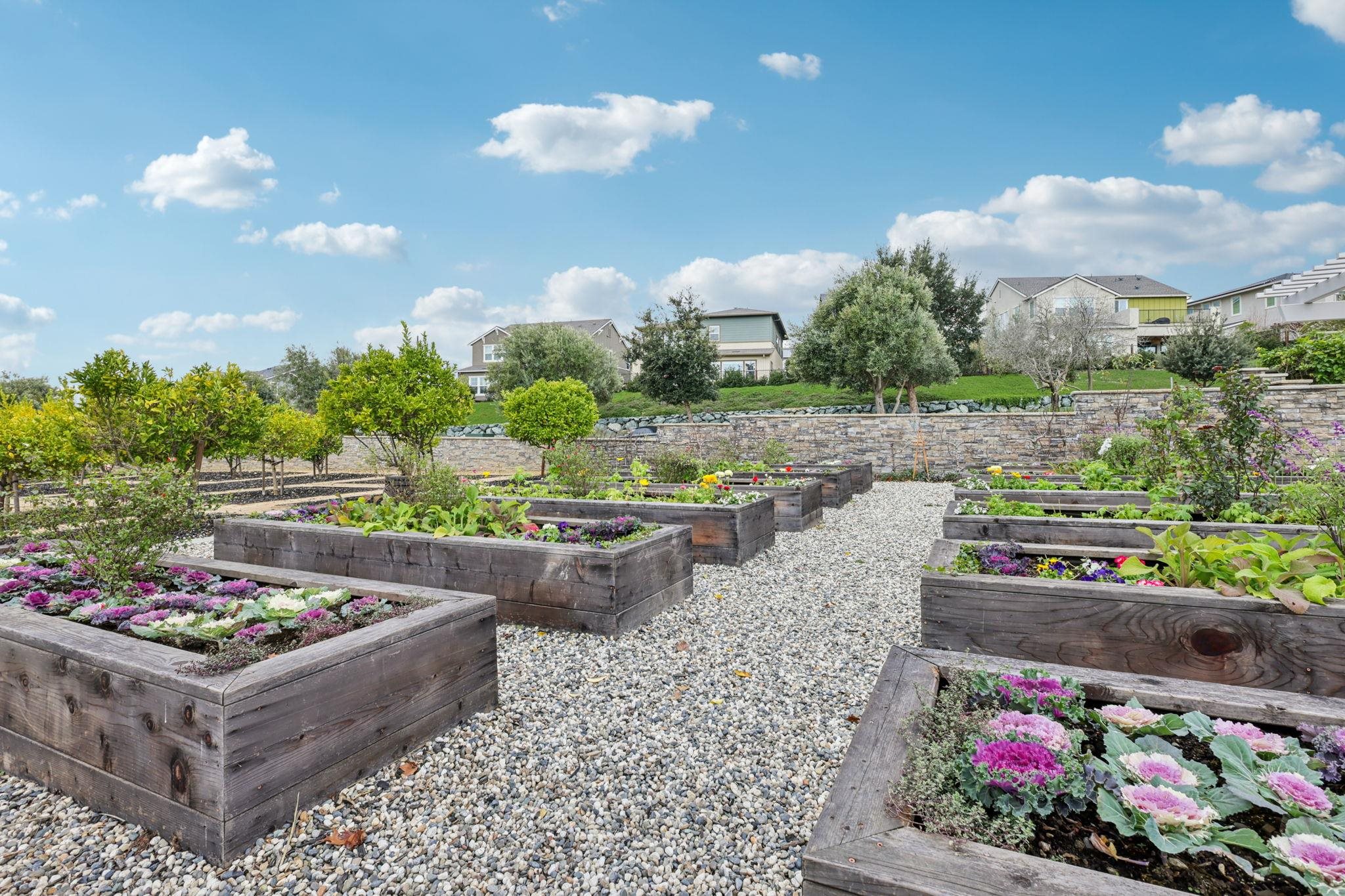 Photo #45: 41119762 Listing: Photo #45