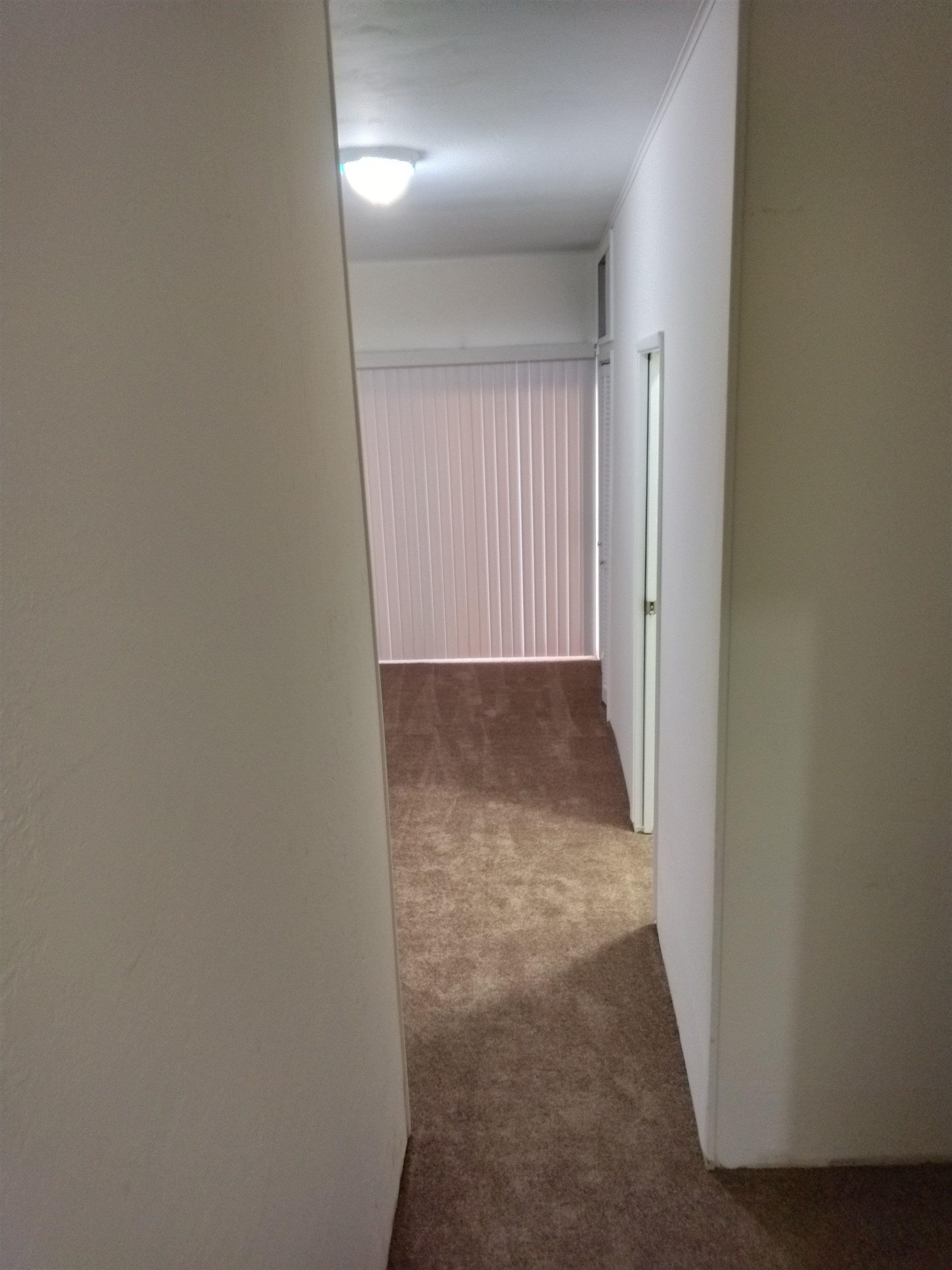 Detail Gallery Image 4 of 8 For 1313 Curtis St, Berkeley,  CA 94702 - 4 Beds | 2 Baths