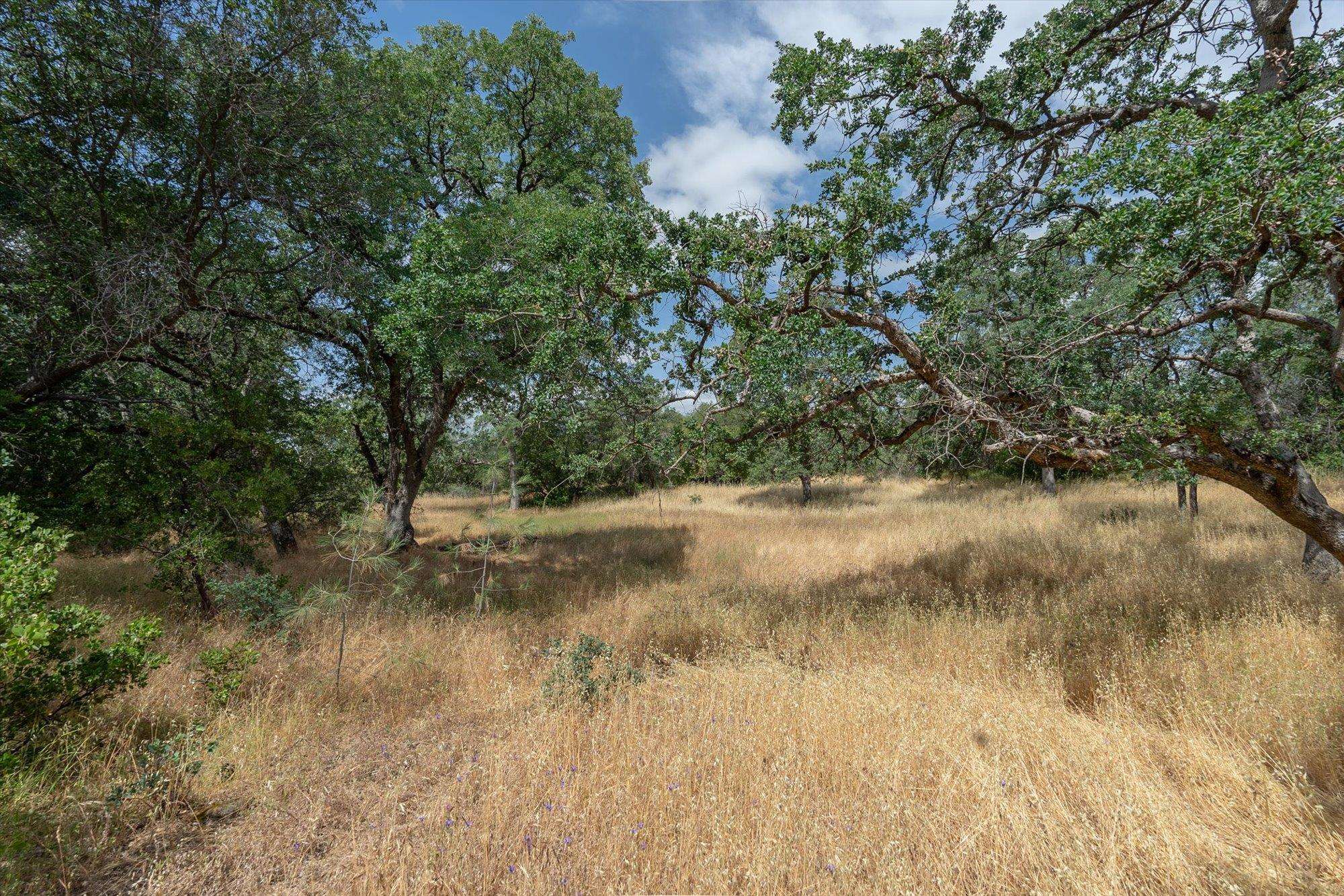 Detail Gallery Image 15 of 33 For 5535 Parrotts Ferry Road, Murphys,  CA 95251 - 1 Beds | 1 Baths