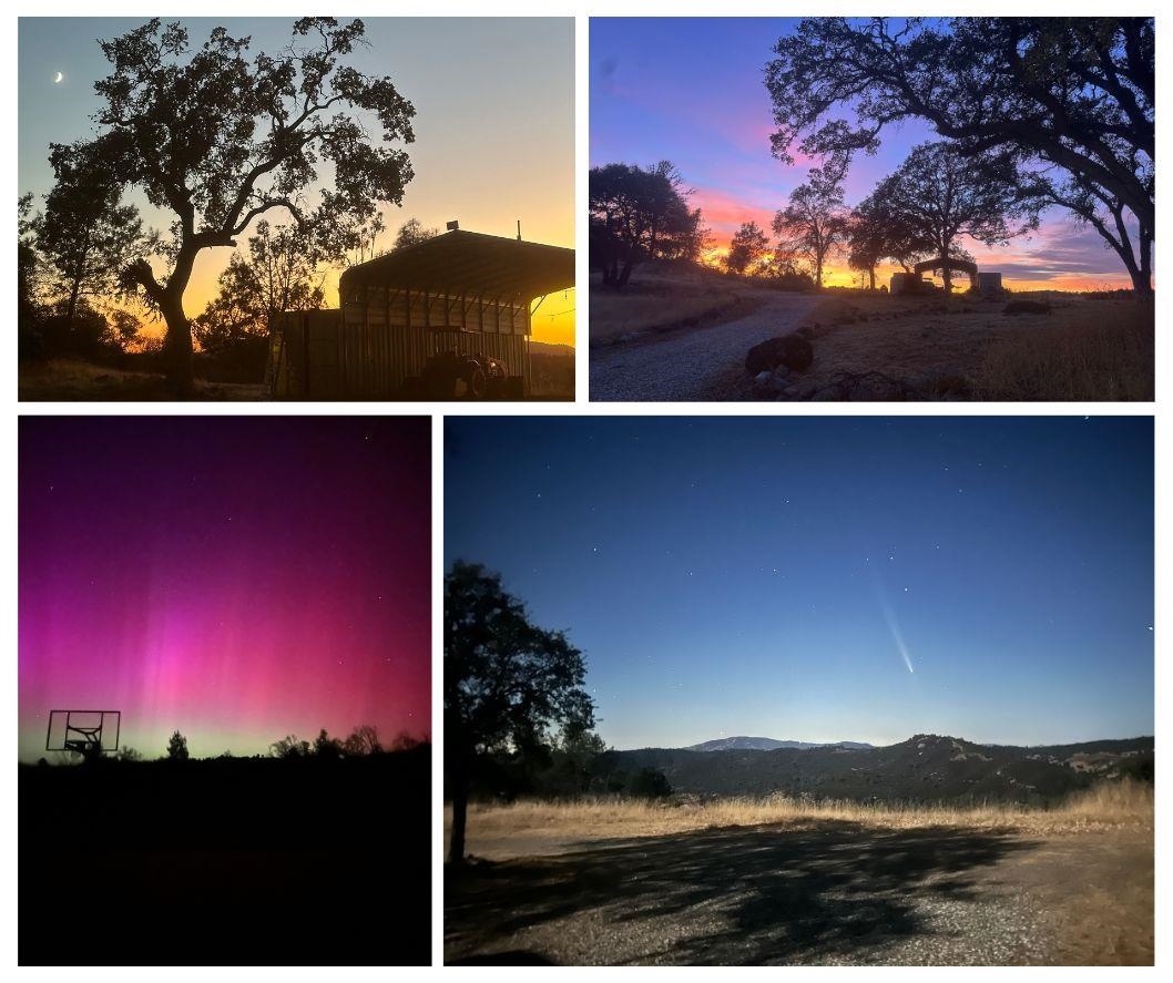 Detail Gallery Image 31 of 33 For 5535 Parrotts Ferry Road, Murphys,  CA 95251 - 1 Beds | 1 Baths