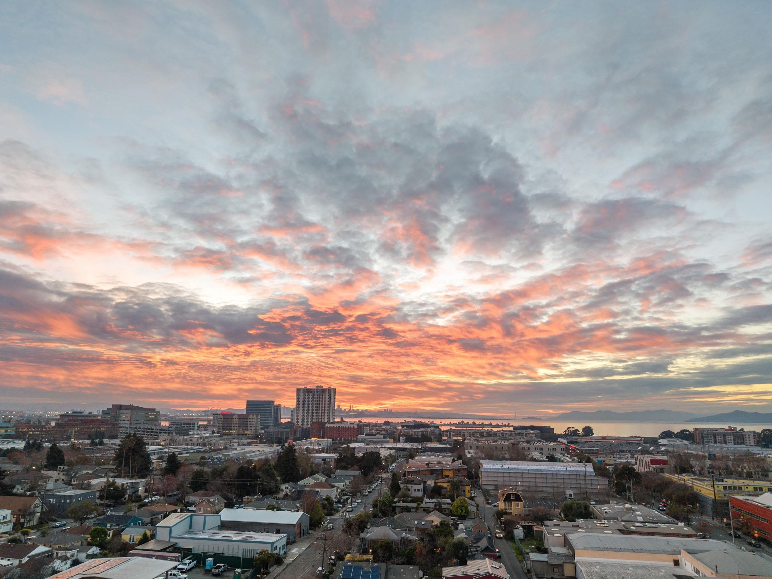 Photo #24: 41119778 Listing: Photo #24