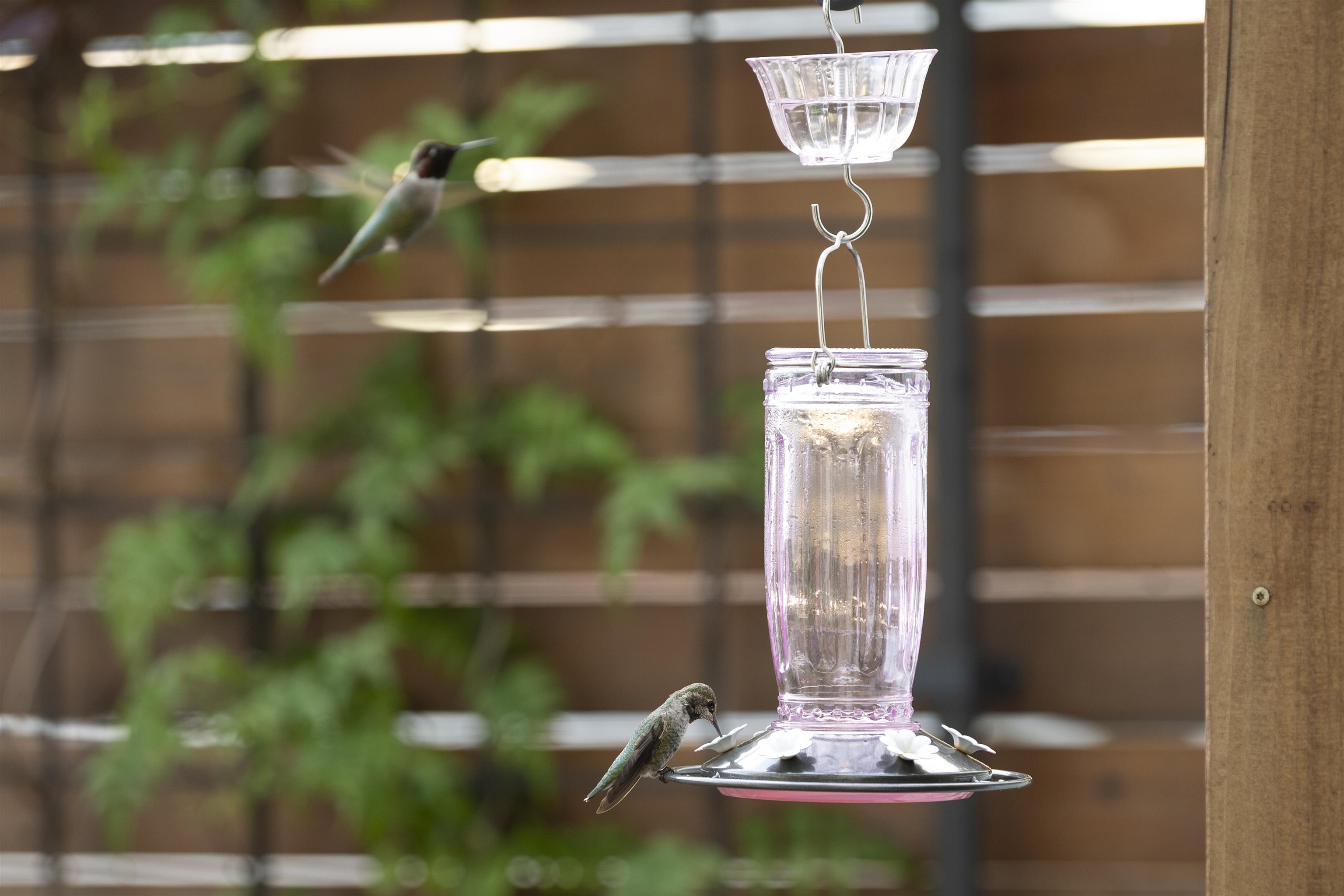 Photo #34: 41119778 Listing: Photo #34