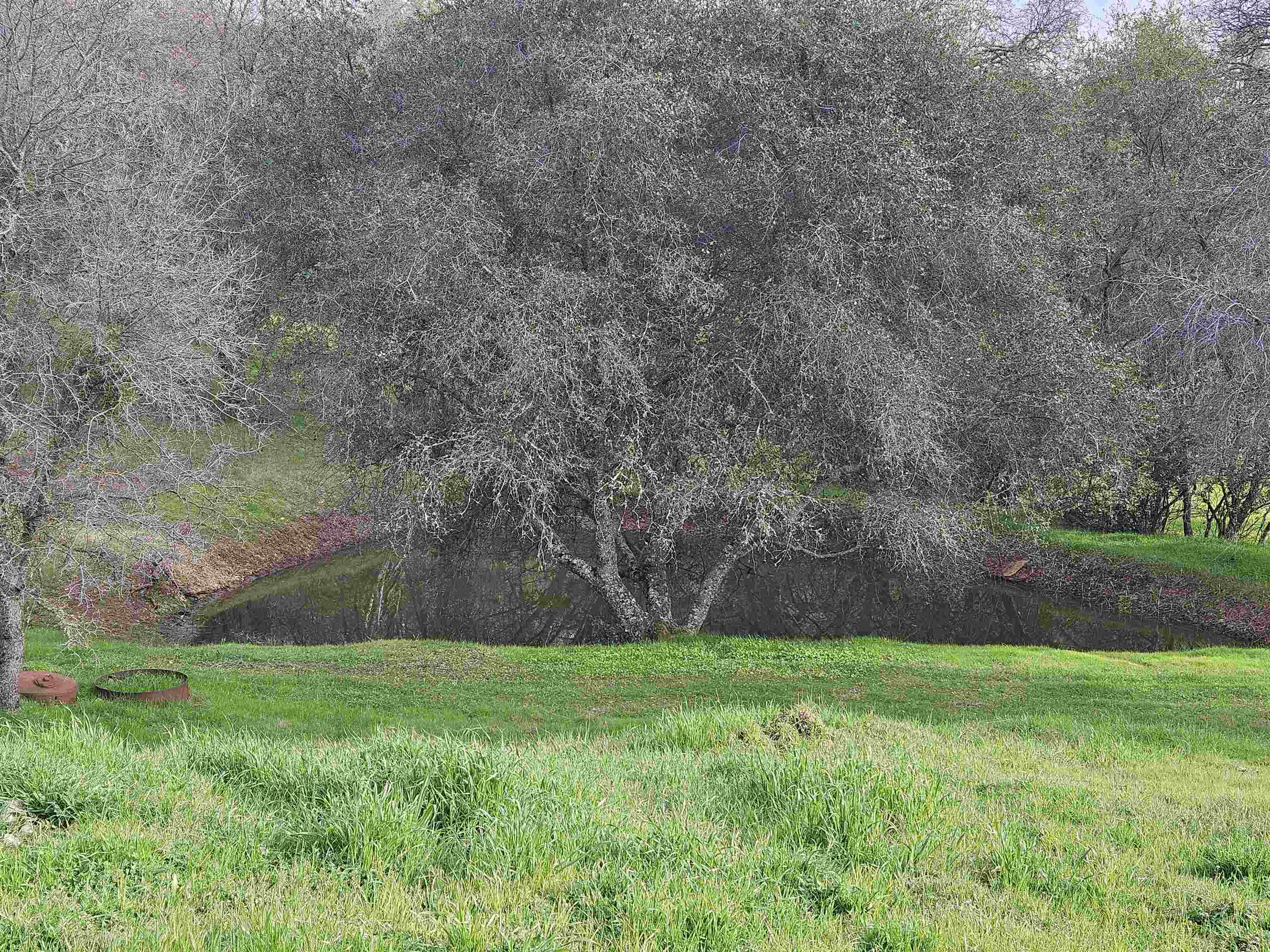 Detail Gallery Image 59 of 60 For 4600 El Caminito Rd, Shingle Springs,  CA 95682-0000 - 6 Beds | 2 Baths