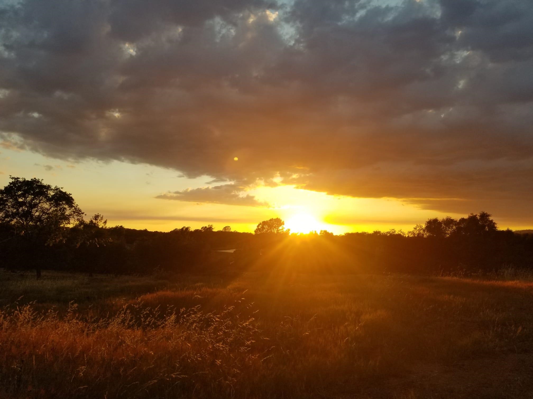 Detail Gallery Image 60 of 60 For 4600 El Caminito Rd, Shingle Springs,  CA 95682-0000 - 6 Beds | 2 Baths