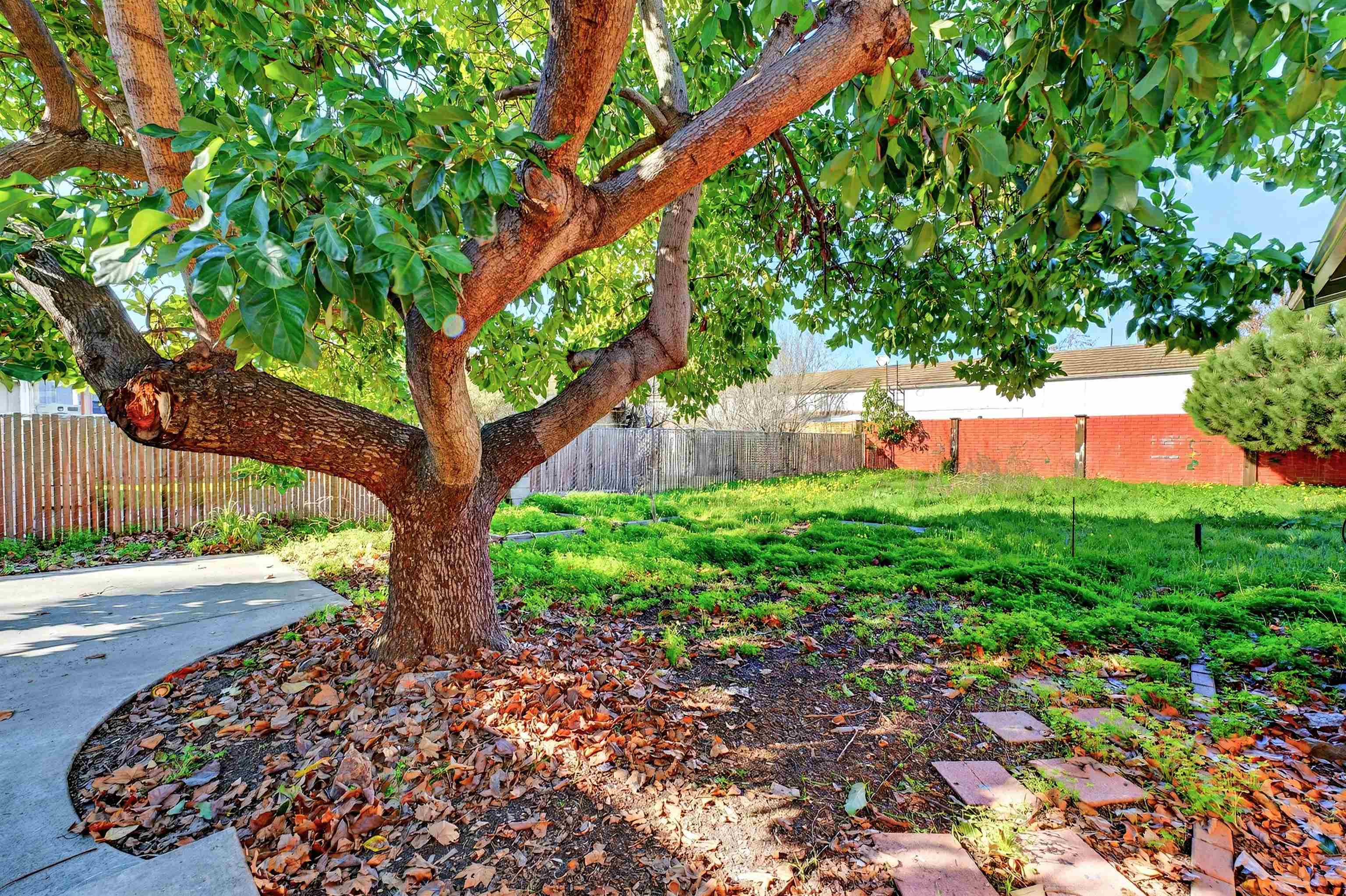 Detail Gallery Image 13 of 13 For 522 B St, Hayward,  CA 94541 - 2 Beds | 1 Baths