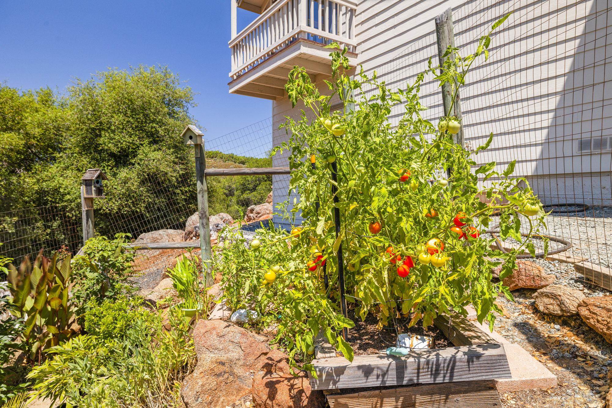 Detail Gallery Image 48 of 60 For 15595 Curtis Cir, Sonora,  CA 95370 - 3 Beds | 2/1 Baths