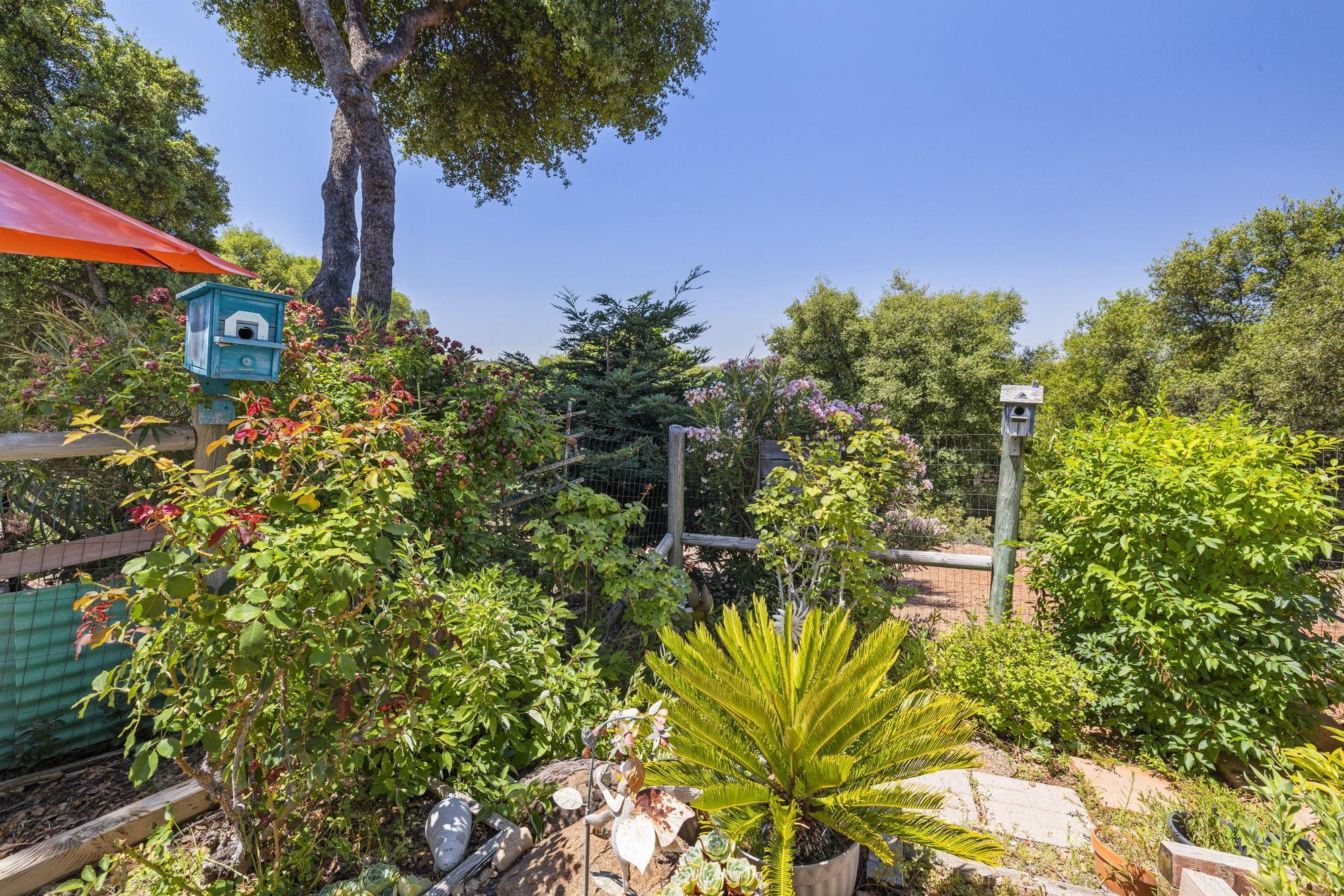 Detail Gallery Image 49 of 60 For 15595 Curtis Cir, Sonora,  CA 95370 - 3 Beds | 2/1 Baths