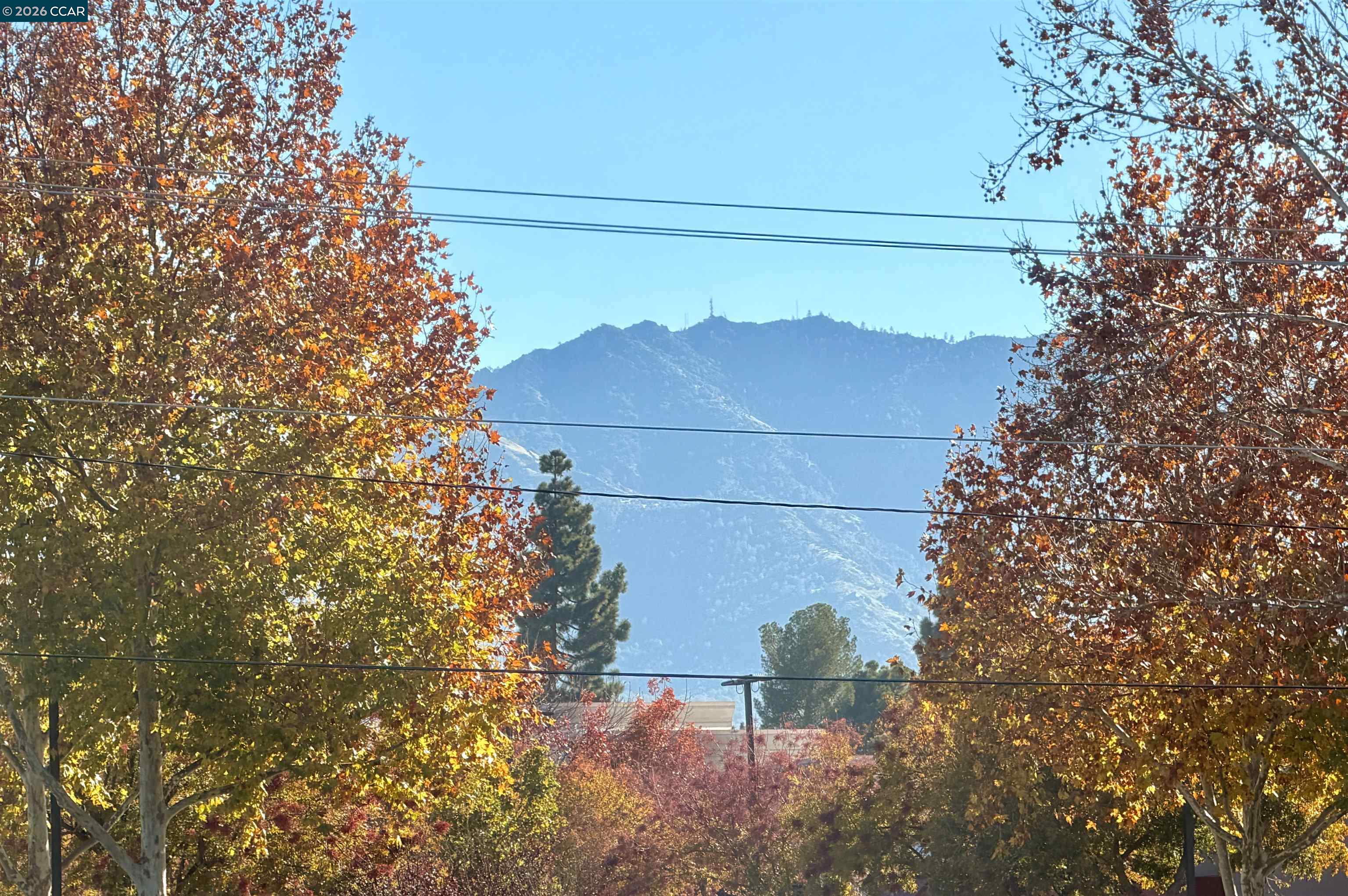 Photo #18: 41119819 Listing: Photo #18