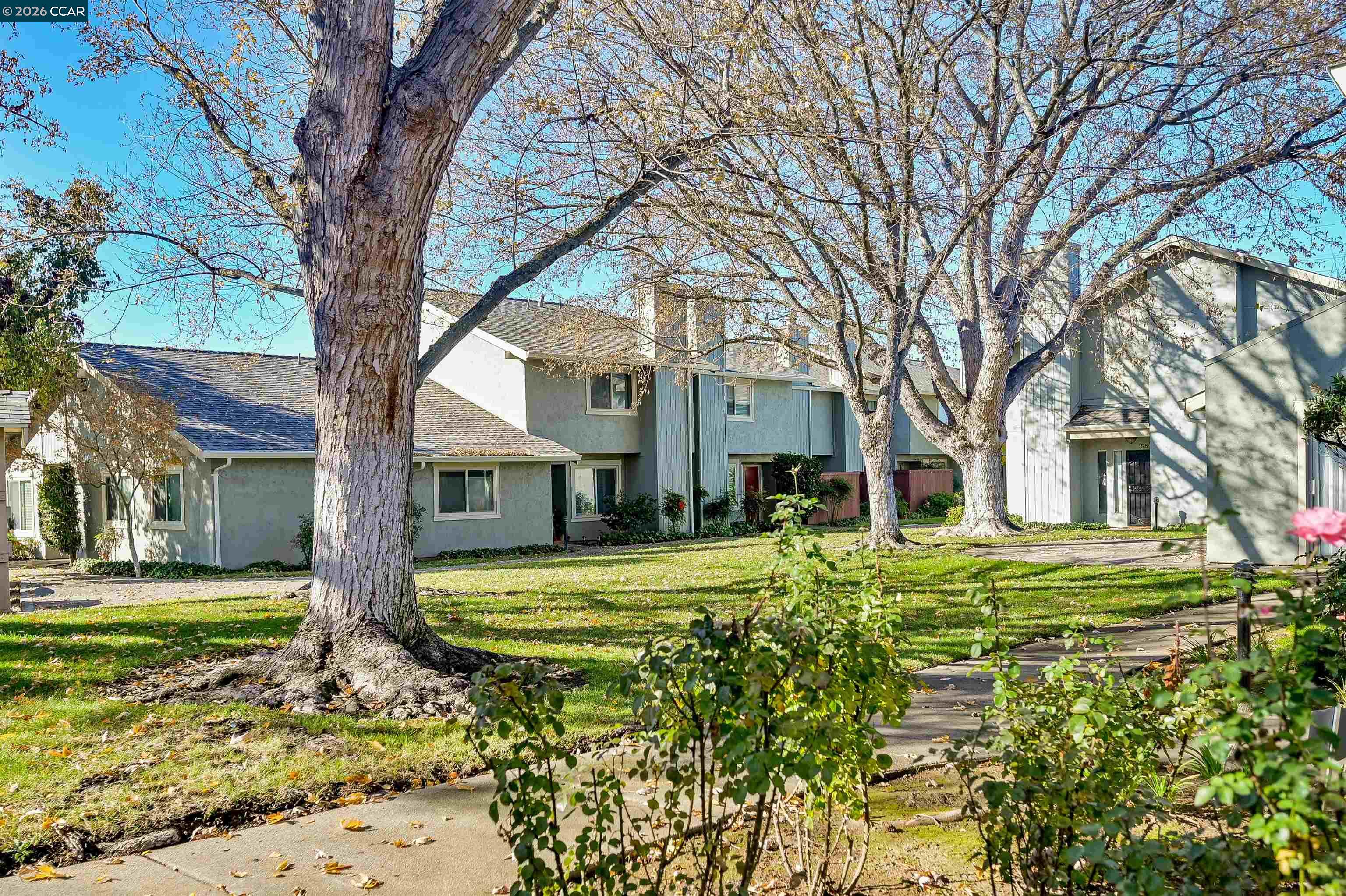 Photo #25: 41119819 Listing: Photo #25