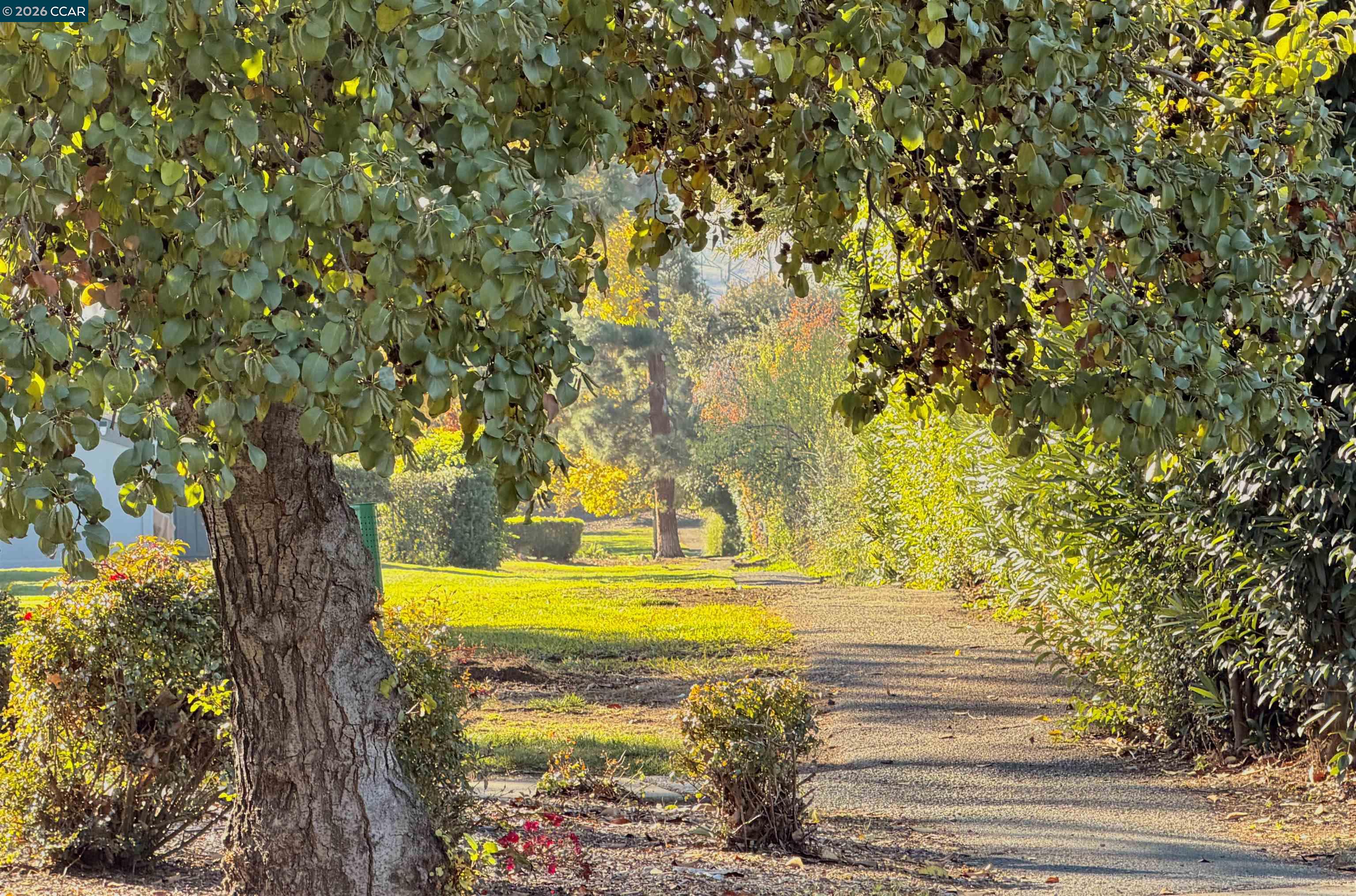 Photo #26: 41119819 Listing: Photo #26